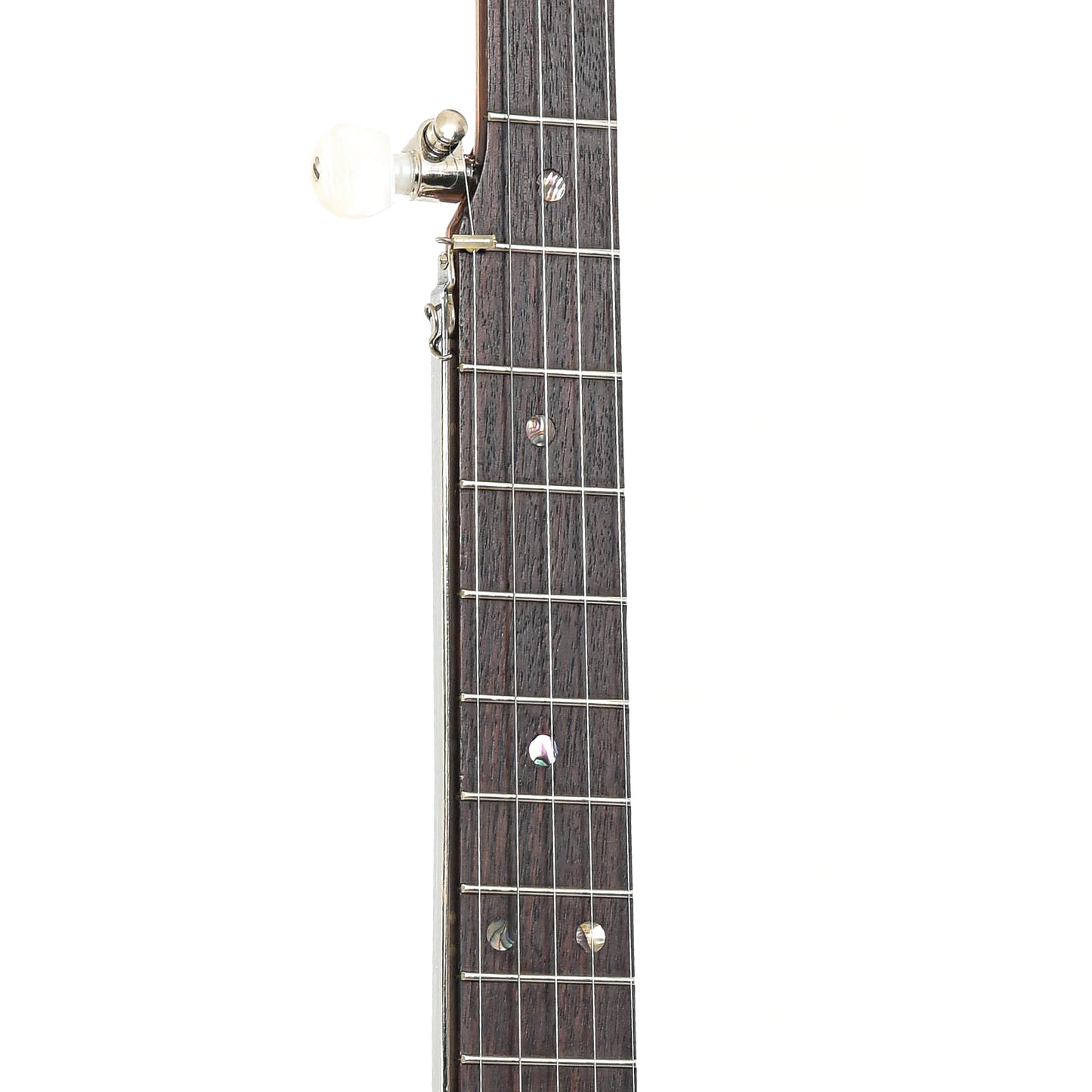 Fretboard of Ome XX-R Resonator Banjo