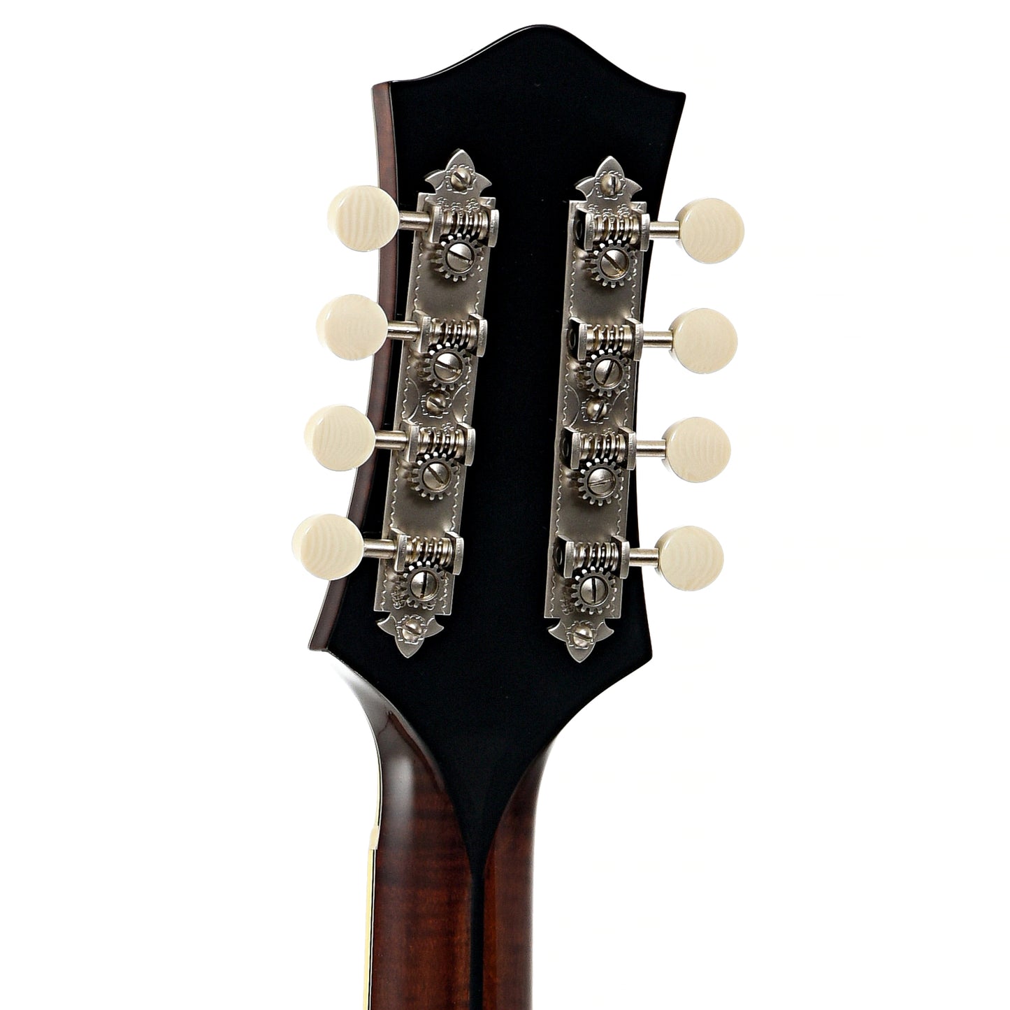 Back headstock of Bourgeois M5O Octave Mandolin