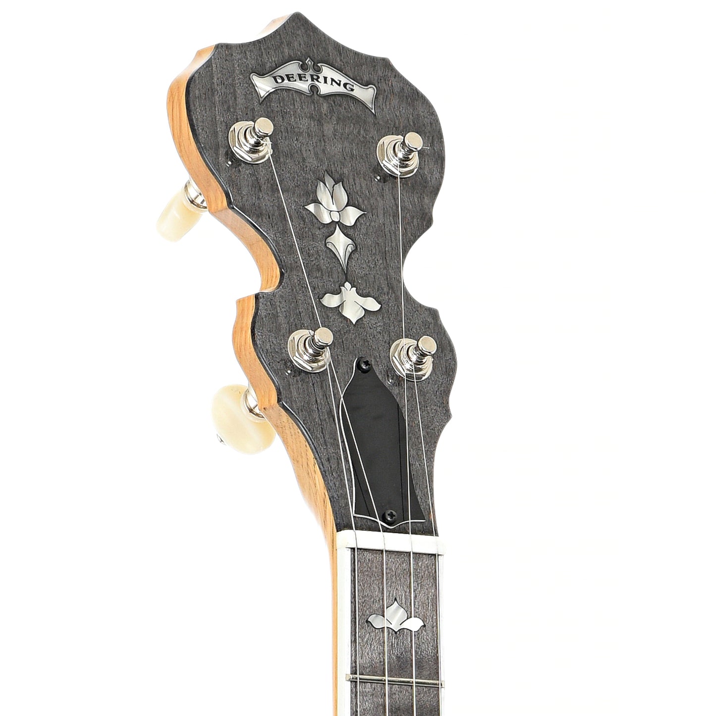 Front headstock of Deering White Lotus Resonator Banjo (2021)