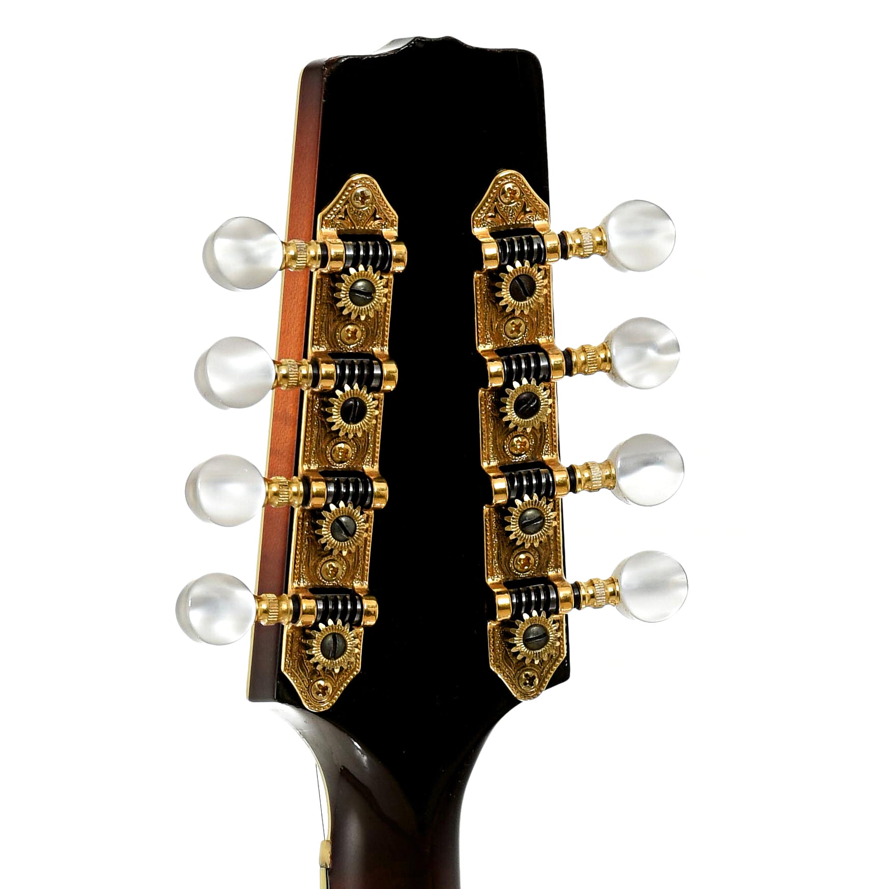 Tuners of Flatiron A-5 Artist Mandolin 