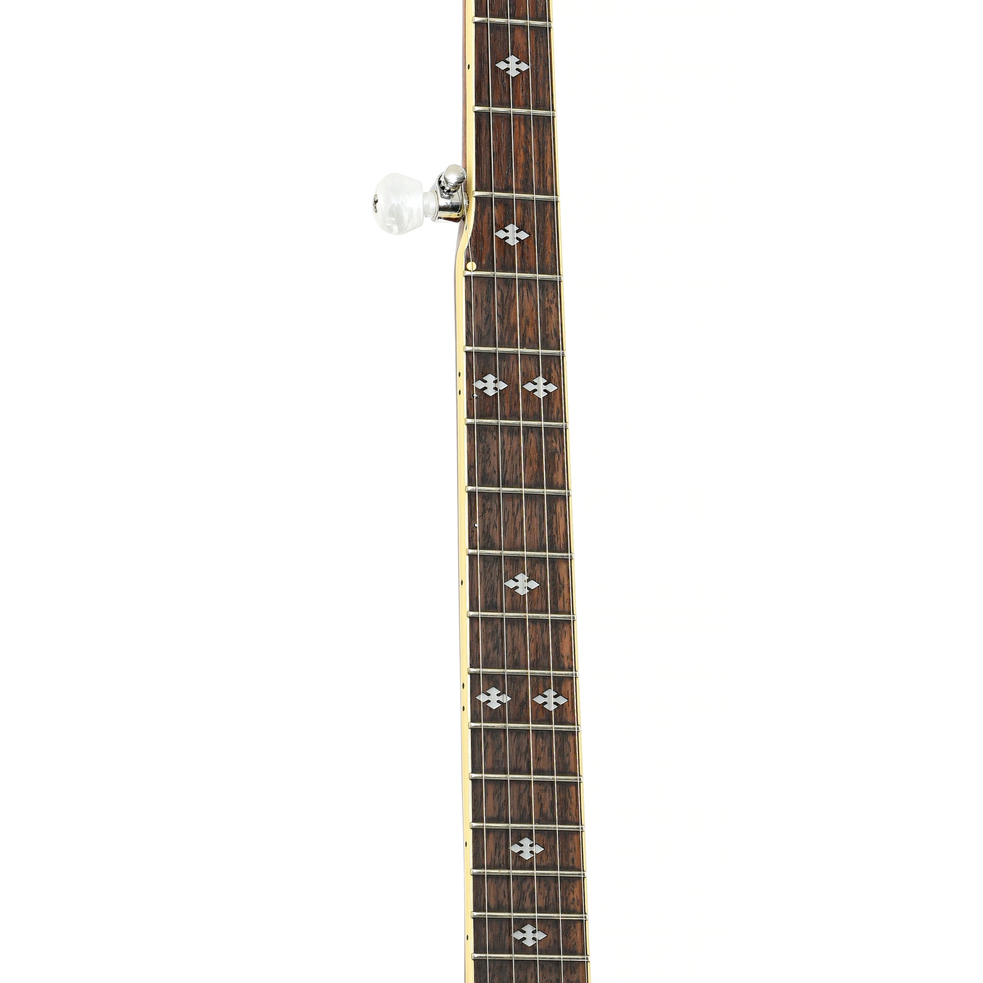 Fretboard of Gold Tone BG-250F Bluegrass Special (2001)