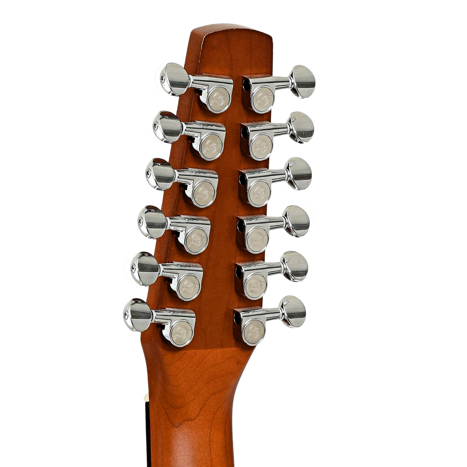 Tuners of Seagull Coastline Cedar 12QIT 