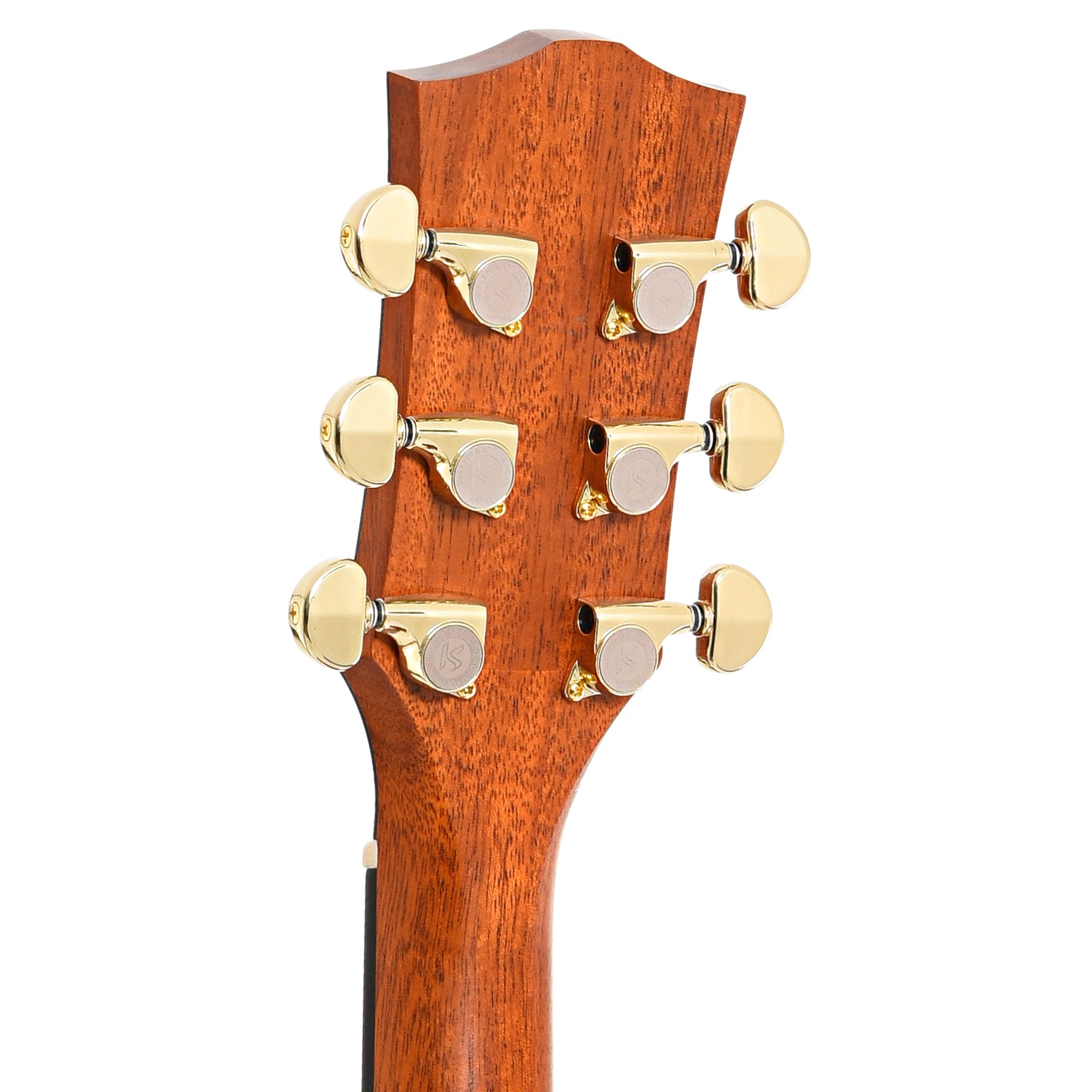 Back headstock of Kepma D1-130 Acoustic Guitar (c.2020)