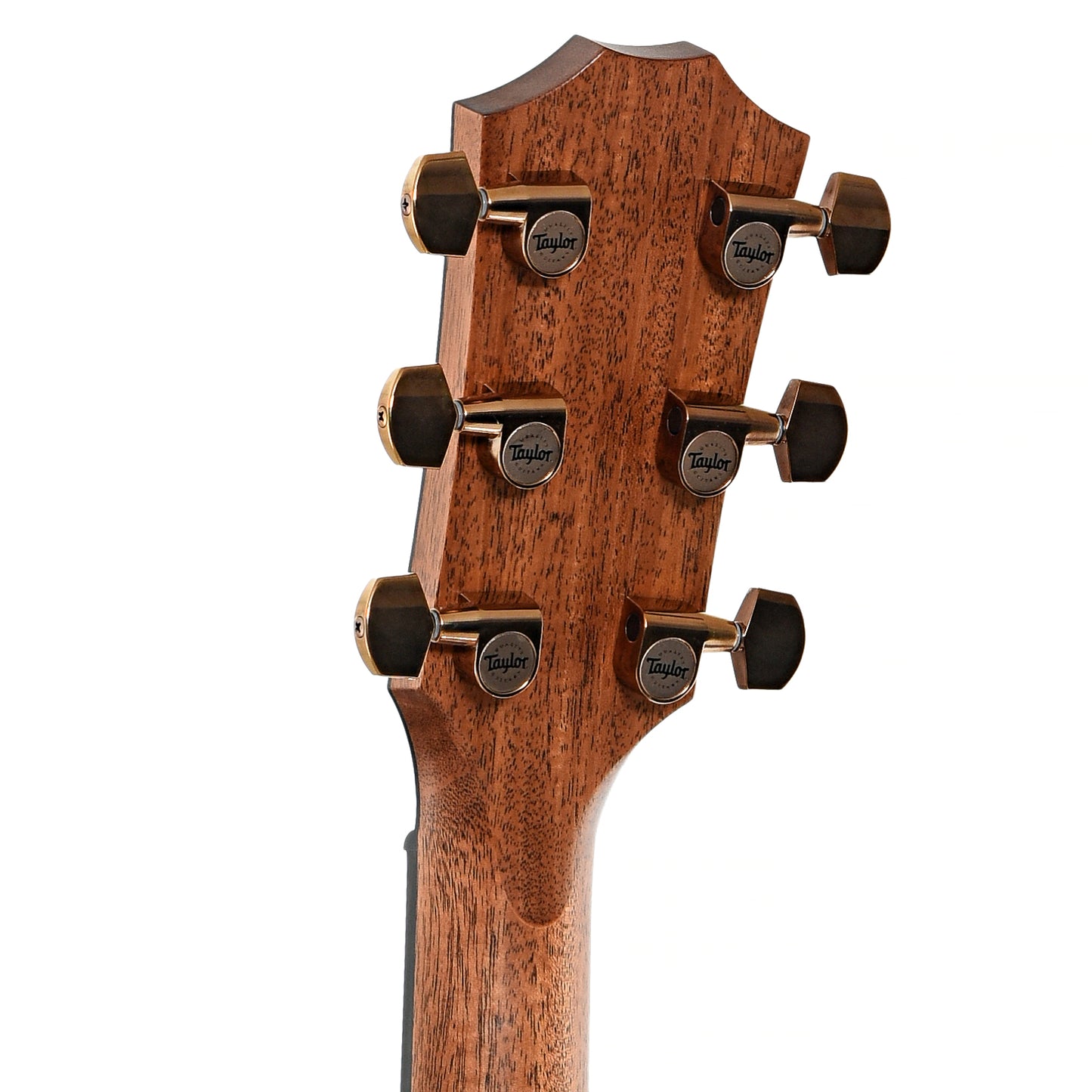 Back headstock of Taylor 724ce Acoustic Guitar