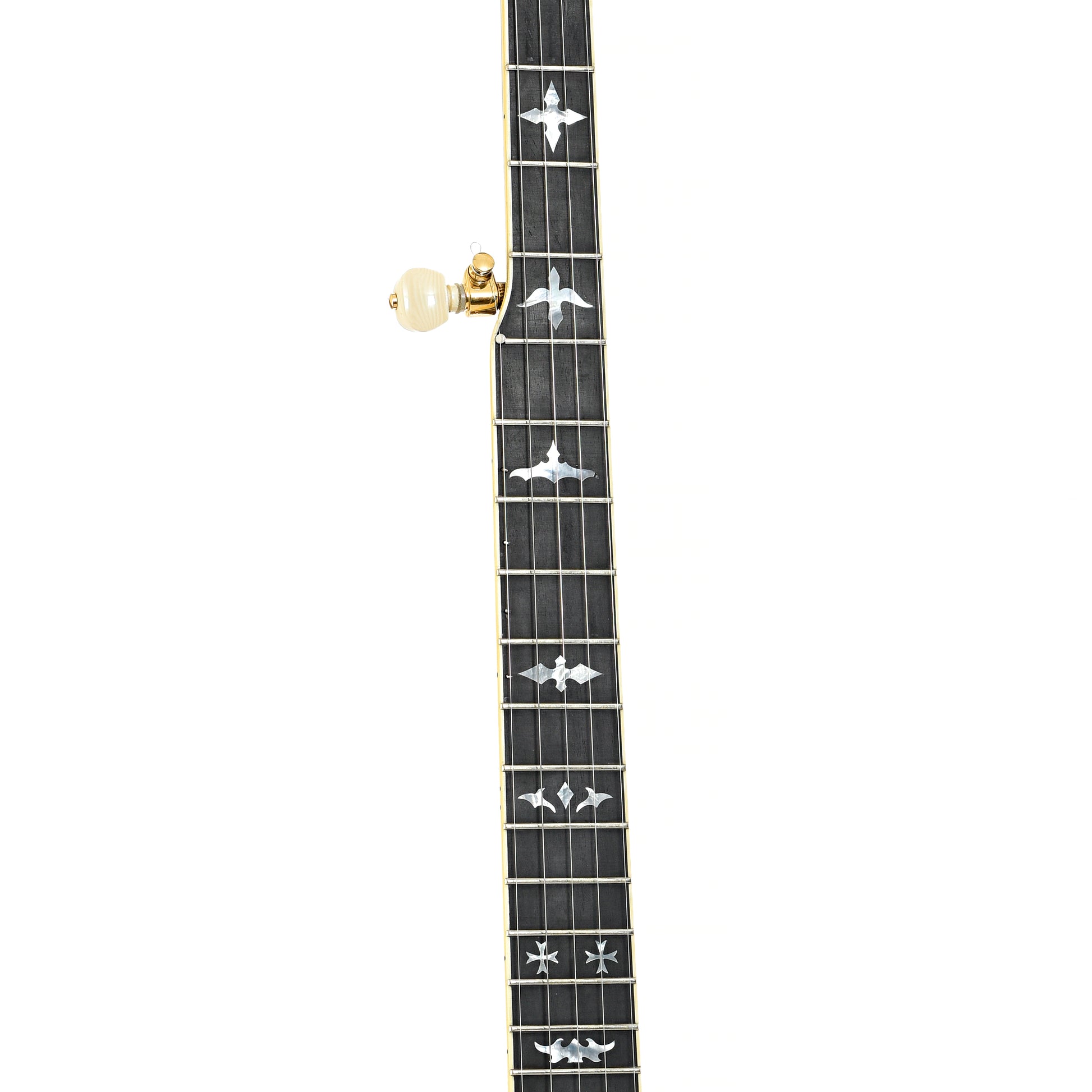 Fretboard of Stelling Crusader Deluxe Resonator Banjo (2004)