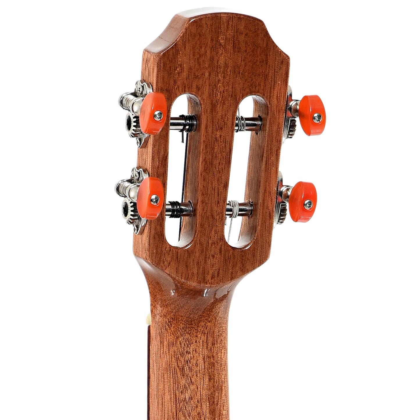 Back headstock of Snail S60B Baritone Ukulele (c.2023)