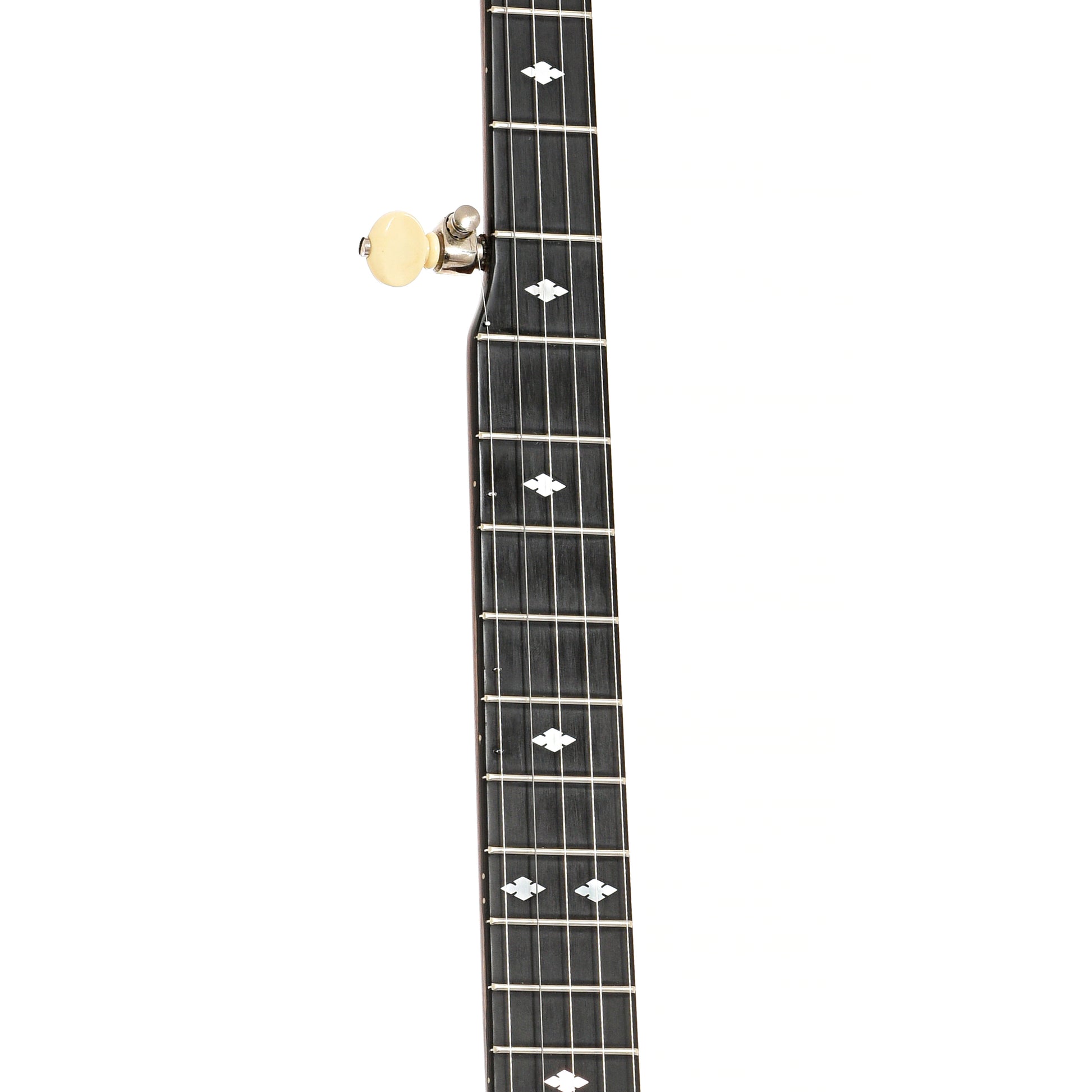 Fretboard of Deering Deluxe Resonator Banjo 