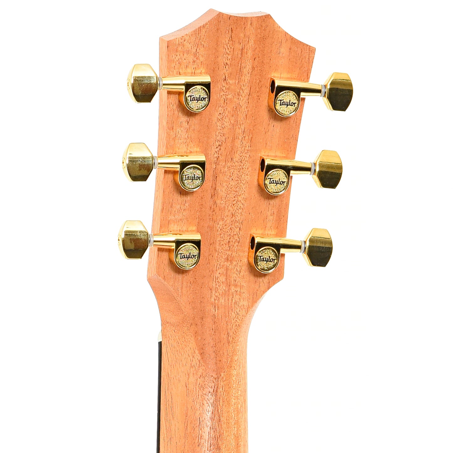 Back headstock of Taylor 50th Anniversary GS Mini-e Rosewood SB LTD Acoustic Guitar