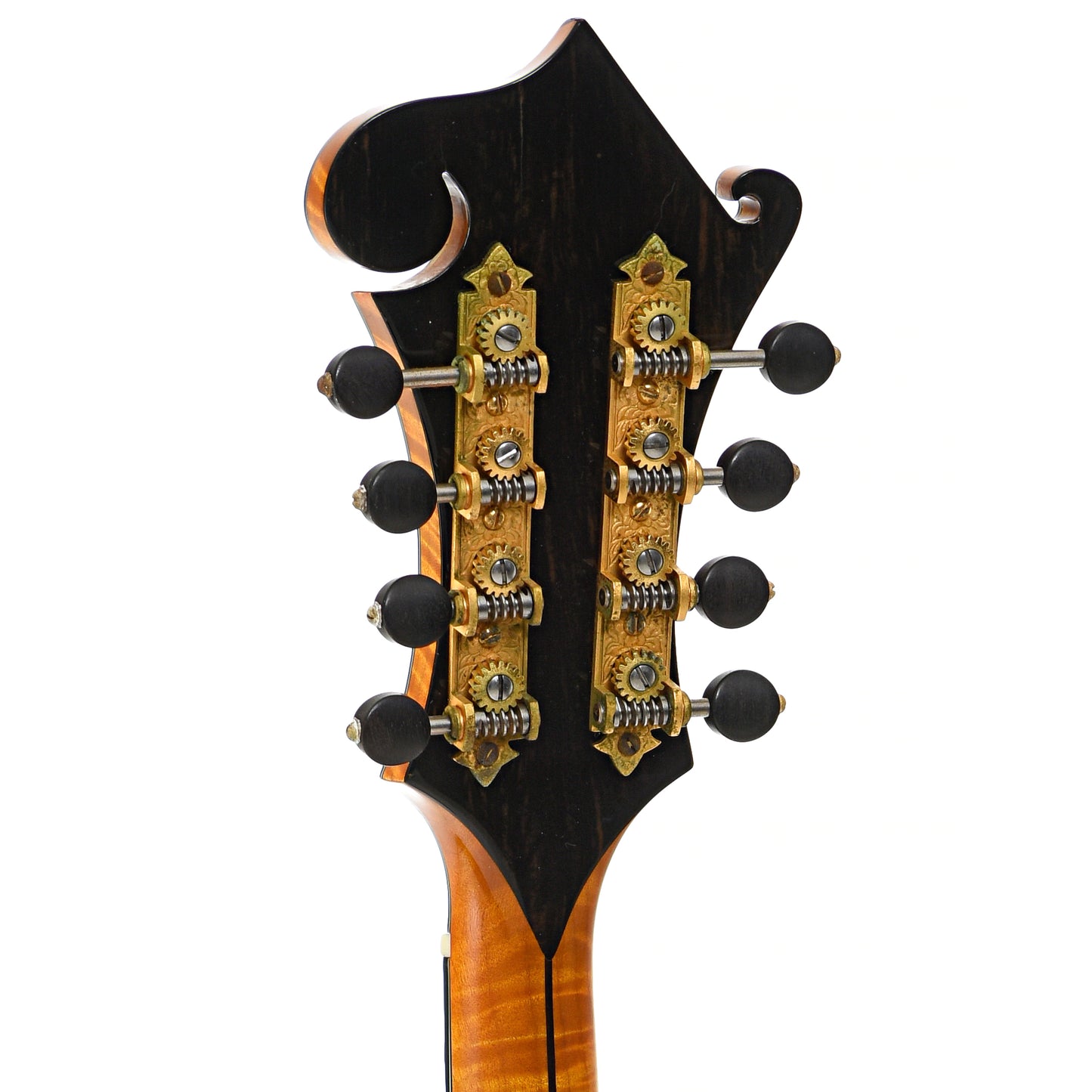 Back headstock of Poe Elite F-5