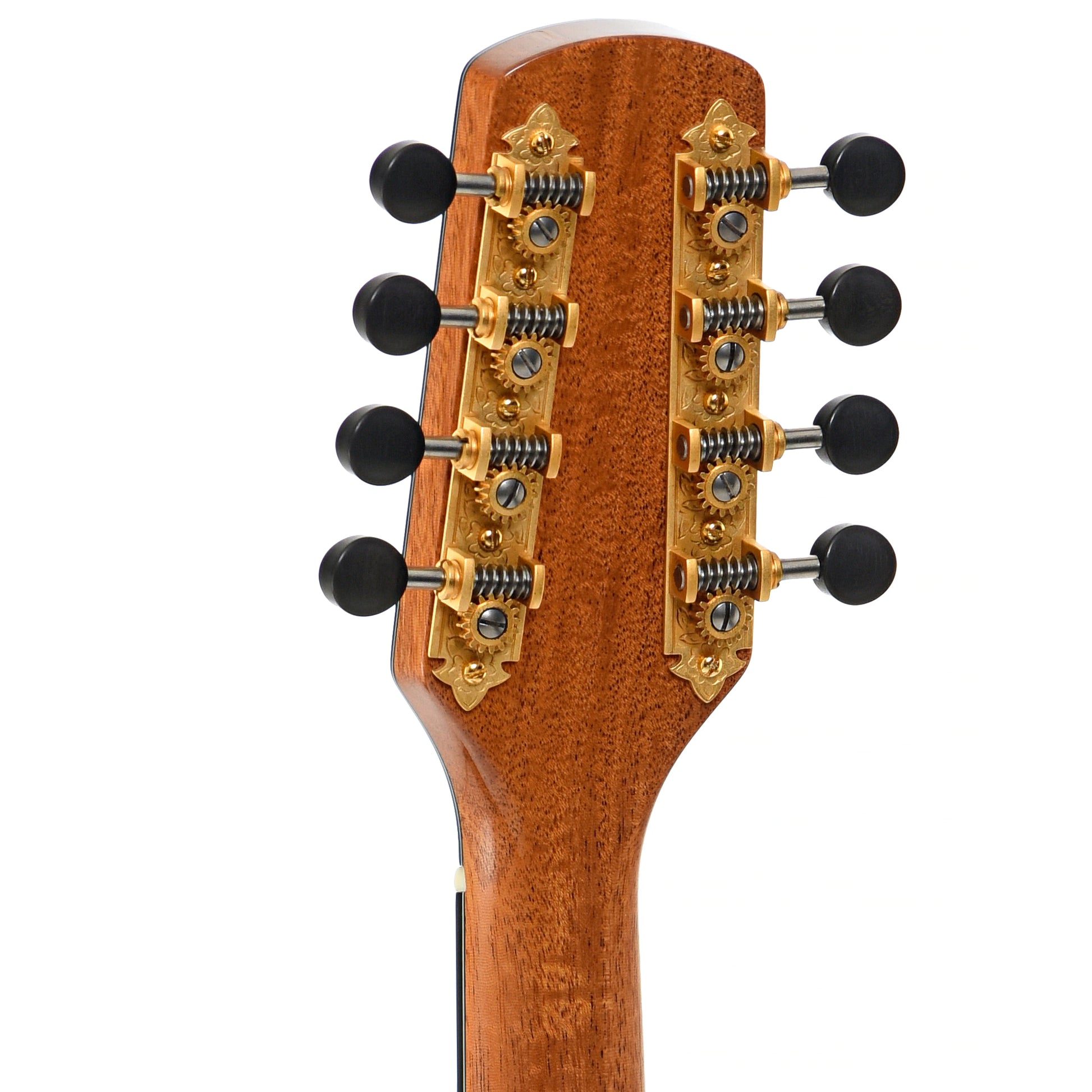 Back headstock of Poe Scout D4-7 Mandola