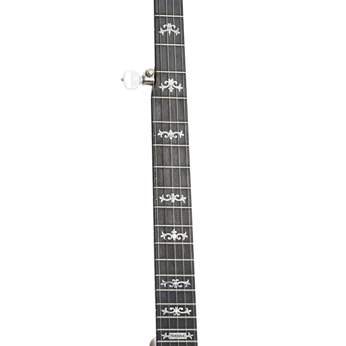 Deering Sierra A/E 5-String Resonator Banjo (2011)