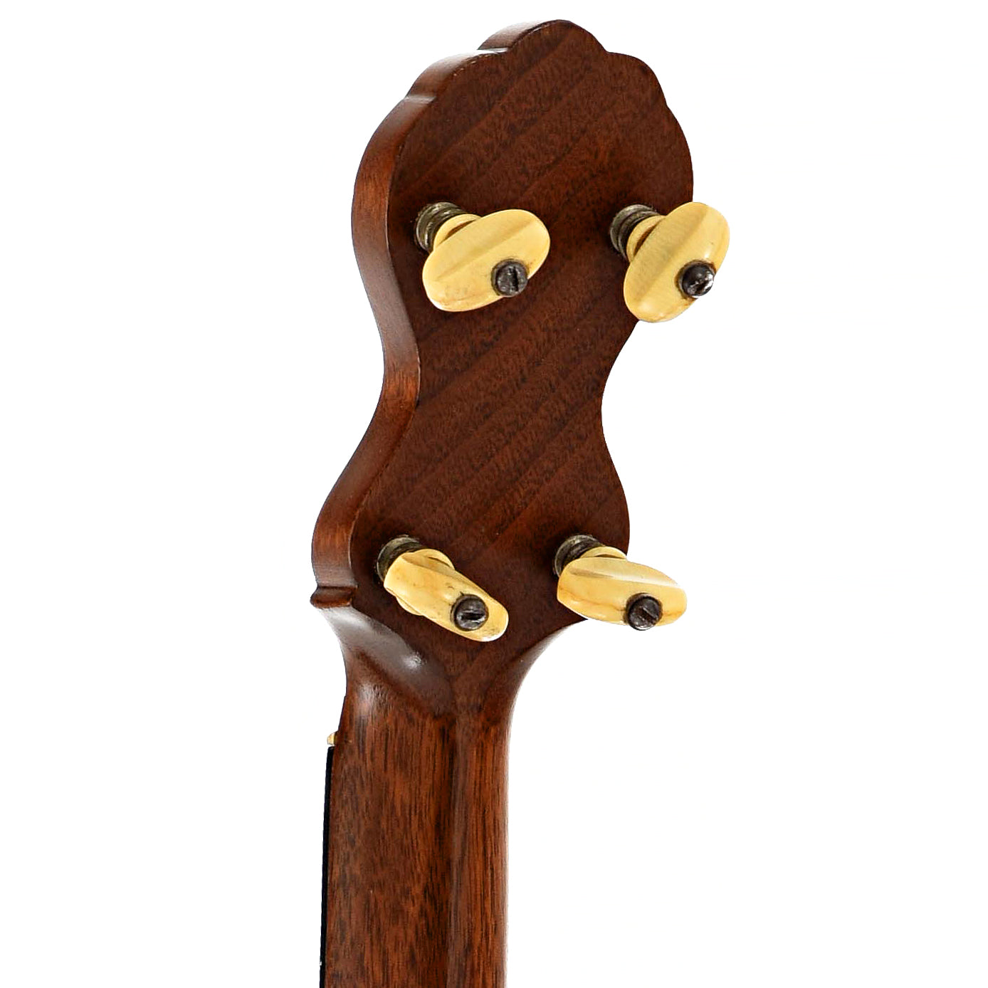 Back headstock of Fairbanks & Cole "Imperial" Open Back Banjo (c.1889)