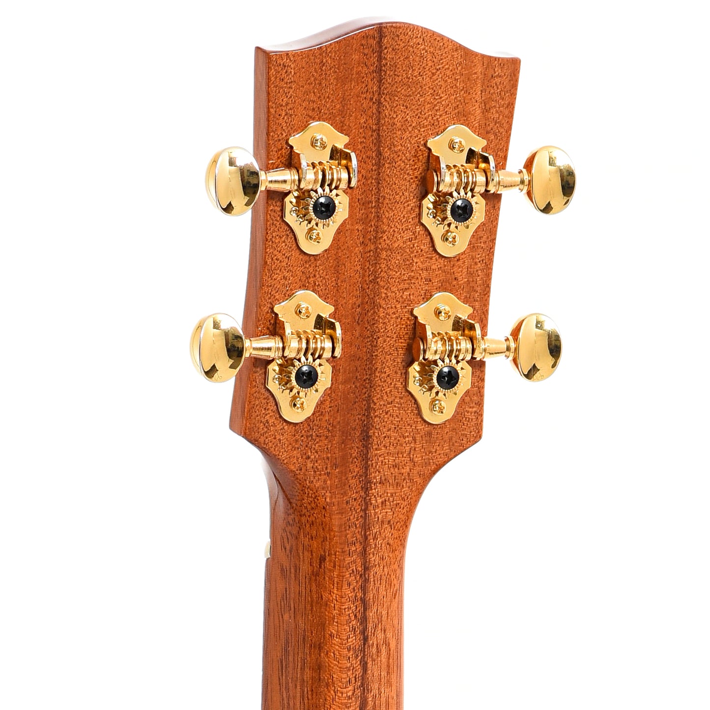 Back headstock of Zimnicki Baritone Ukulele Port Oxford and Myrtle