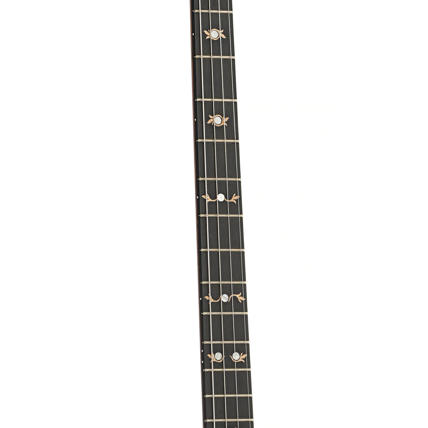 Fretboard of Deering Boston Plectrum 4-string Banjo (2014)