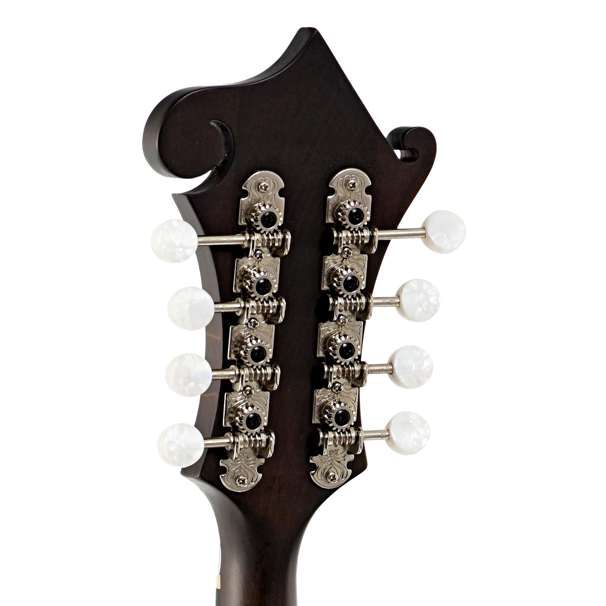 Tuners of Eastman MD315 F-Style Mandolin 