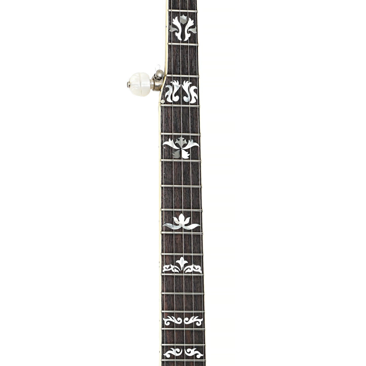 Fretboard of Aria Pro II Flying Eagle Resonator Banjo