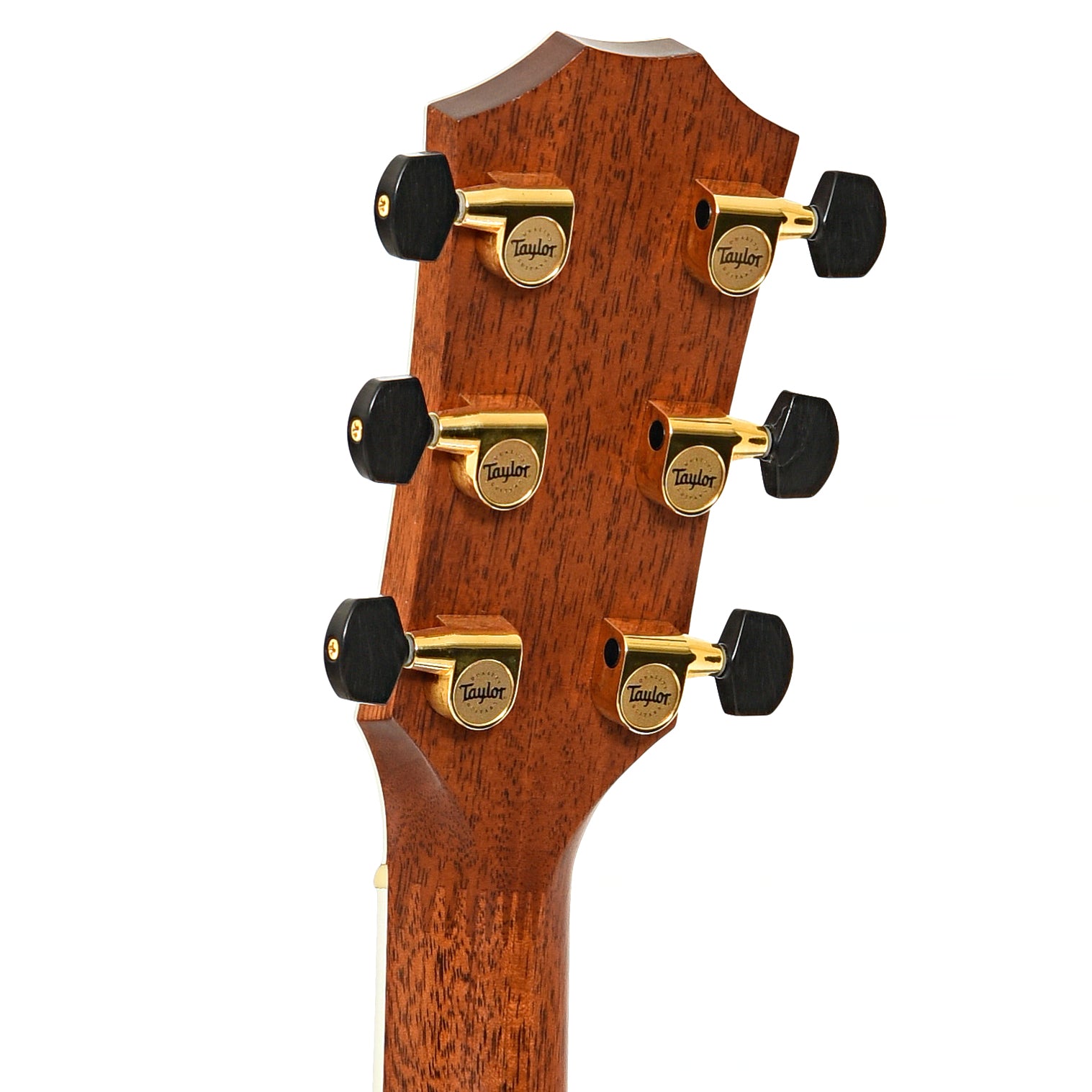 Back headstock of Taylor 810-CE Acoustic-Electric Guitar (2004)