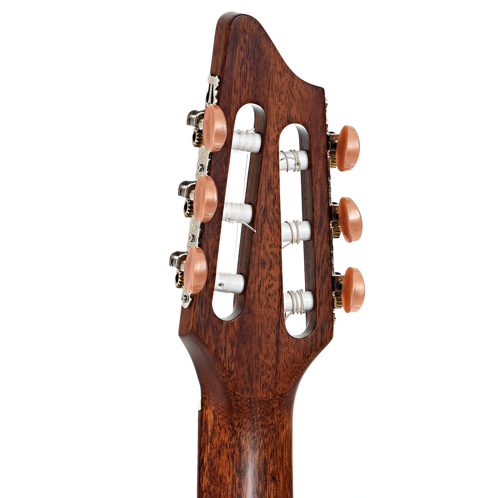 Back headstock of Breedlove Discovery Concert S Nylon CE (2024)