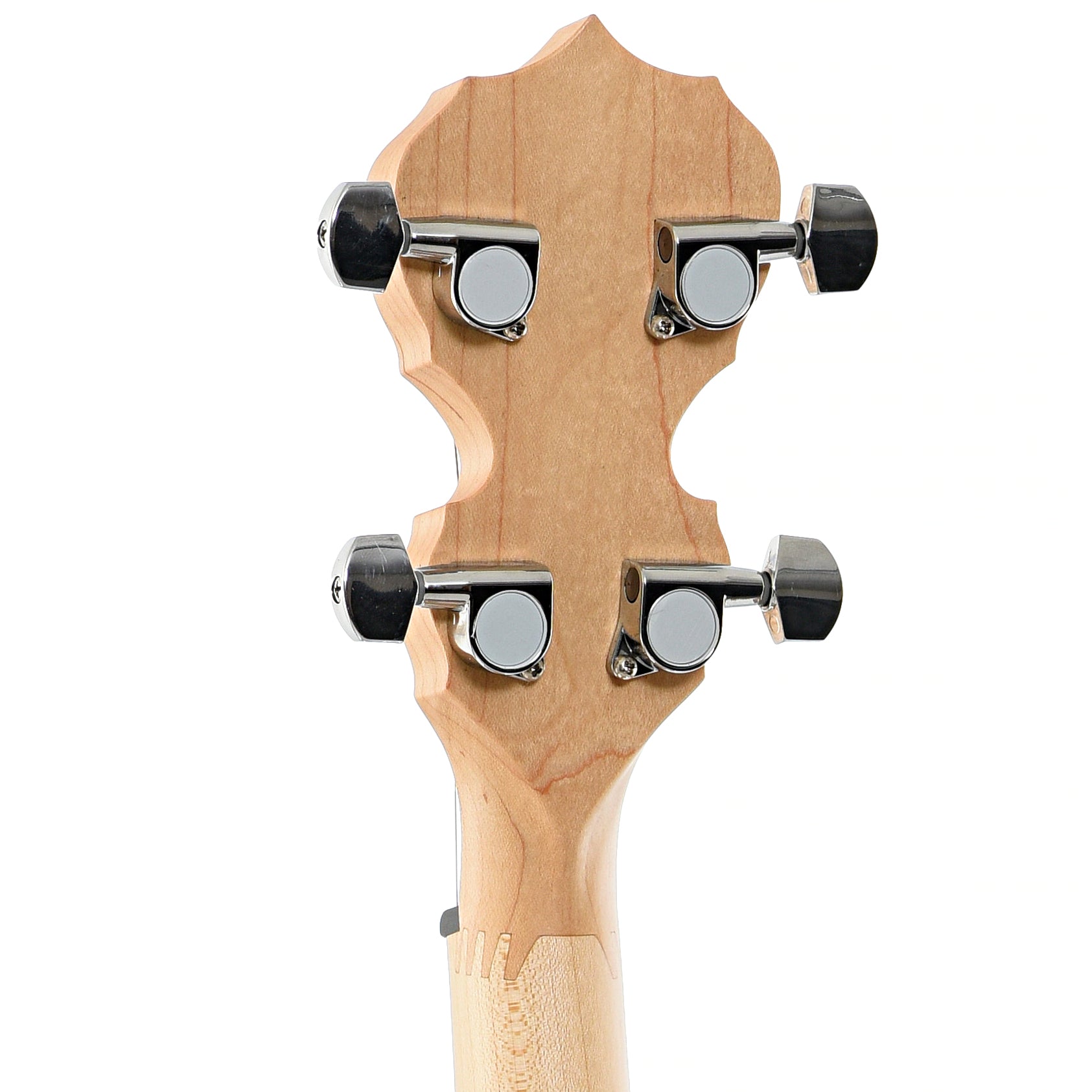 Back headstock of Deering Goodtime 17-Fret Tenor Banjo (2010s)