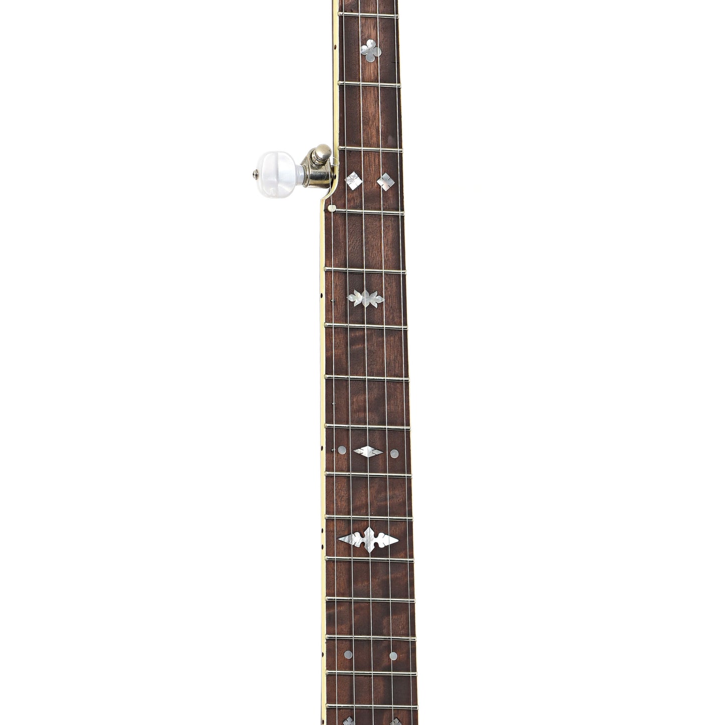 Fretboard of Randy Wood Featherlite Resonator Banjo (c.2020)