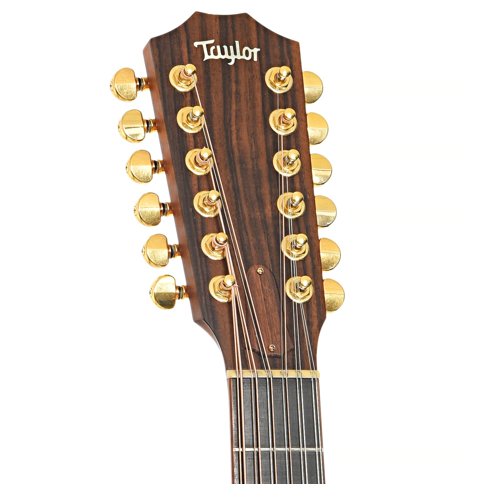 Front headstock of Taylor Leo Kottke LKSM 12-String Acoustic Guitar (1998)