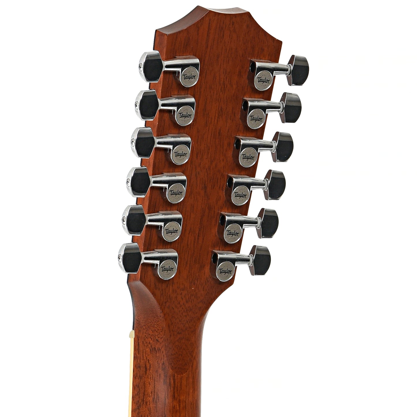 BAck headstock of Taylor GA3-12 12-String Acoustic Guitar (2007)