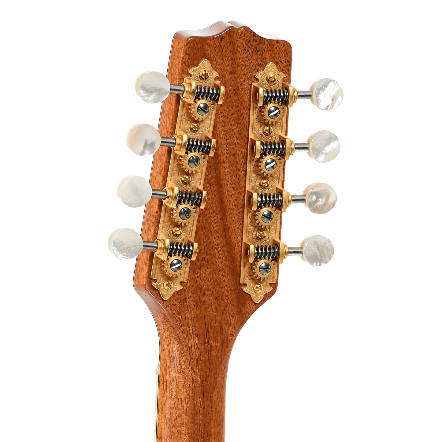 Back headstock of Poe Scout Deluxe