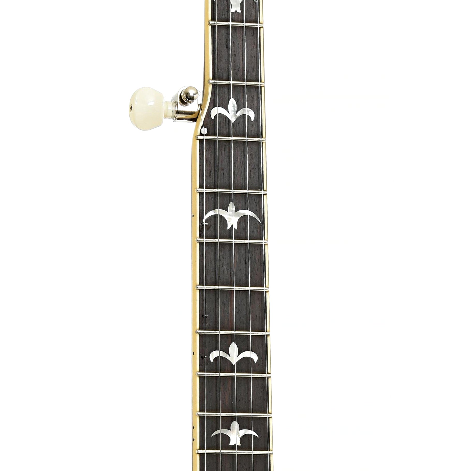 Fretboard of Recording RK-R36-B Madison Deluxe Resonator Banjo