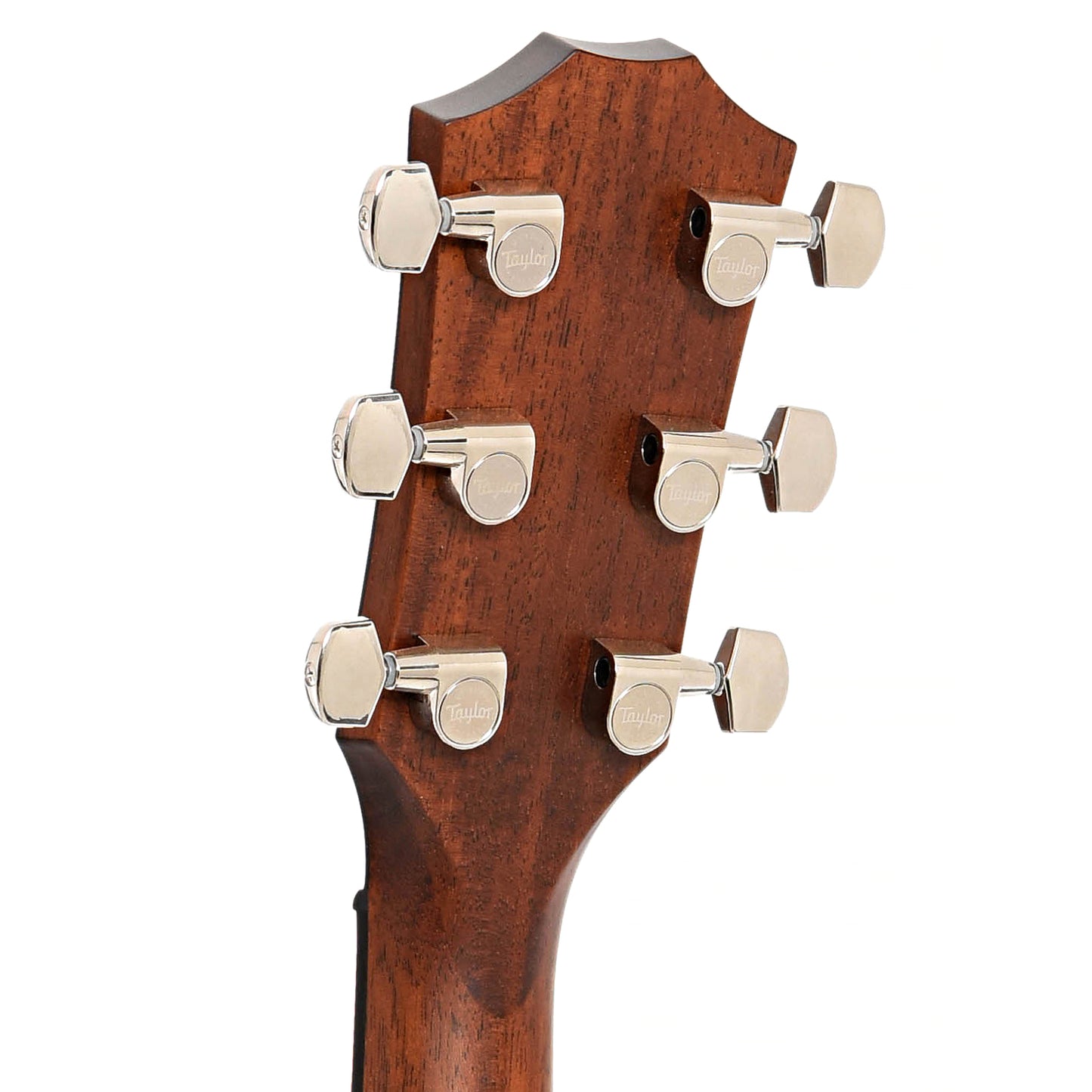 Back headstock of Taylor Builder's Edition 517e Acoustic Guitar