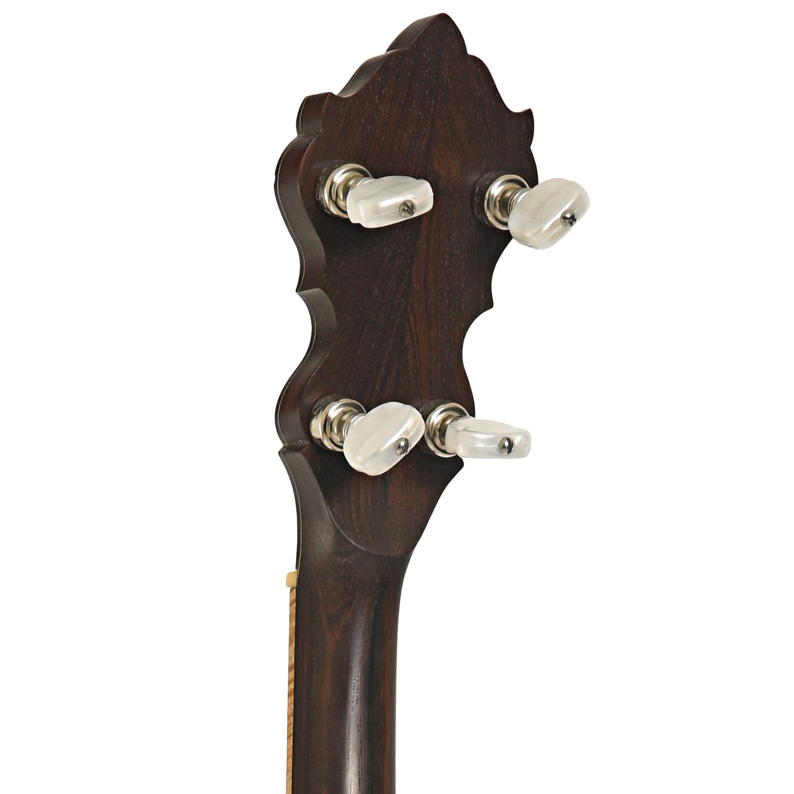 Back headstock of Wildwood Custom Dragon Tubaphone Banjo