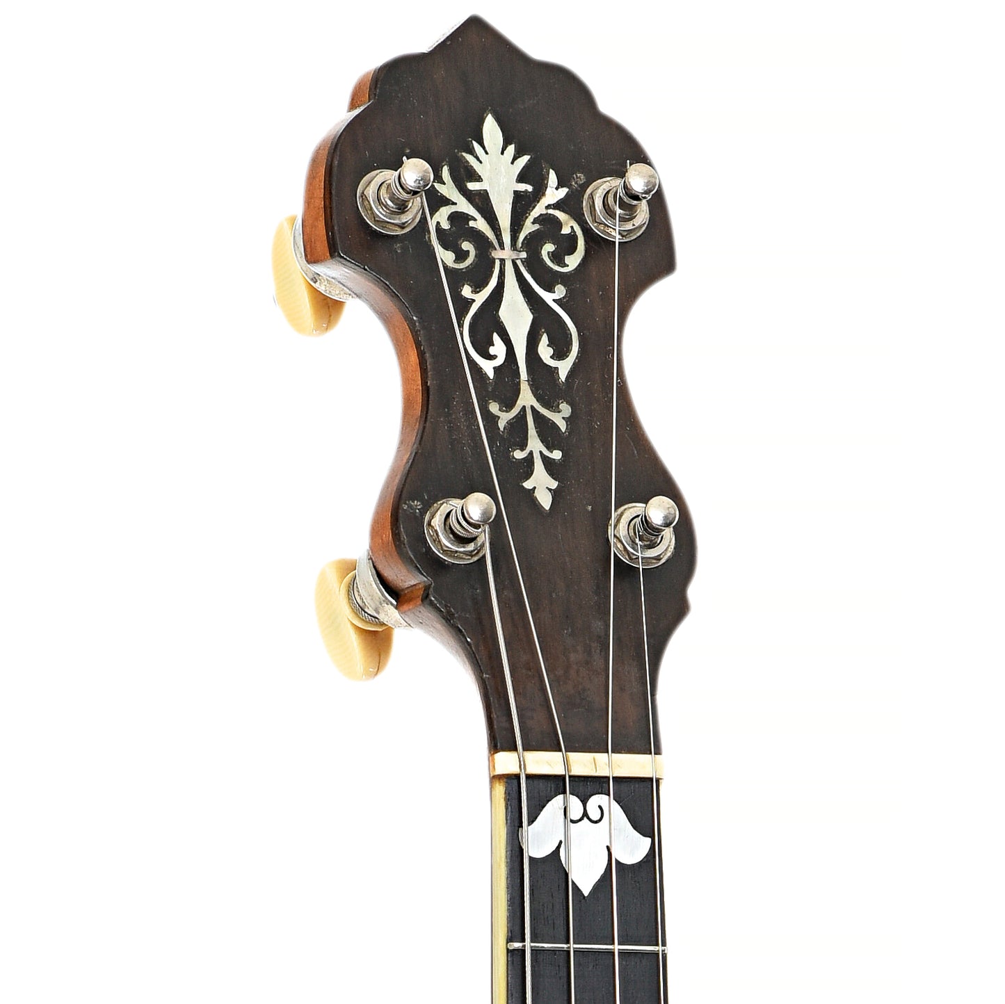 Front headstock of Vega Tubaphone Style M Tenor Banjo (1923)