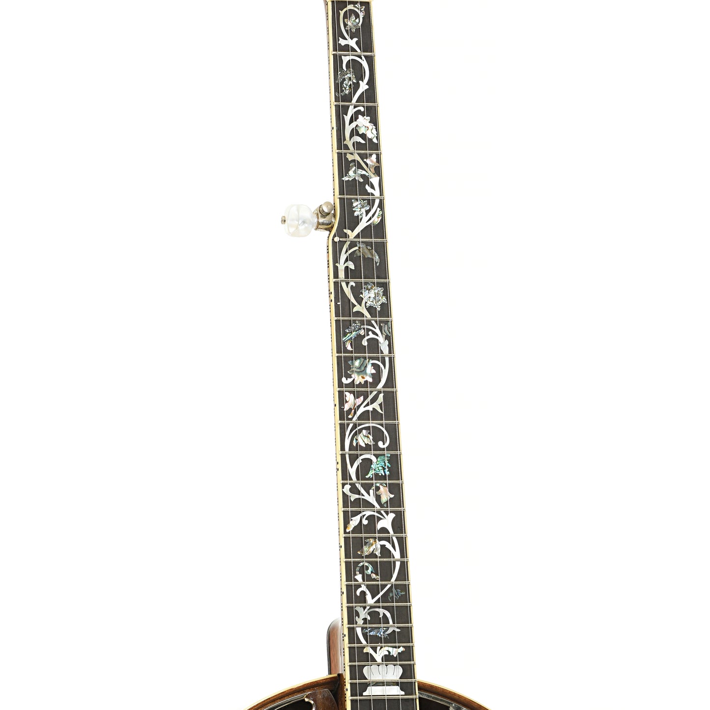 Fretboard of Wildwood Sololist Custom Resonator Banjo (c.2008)