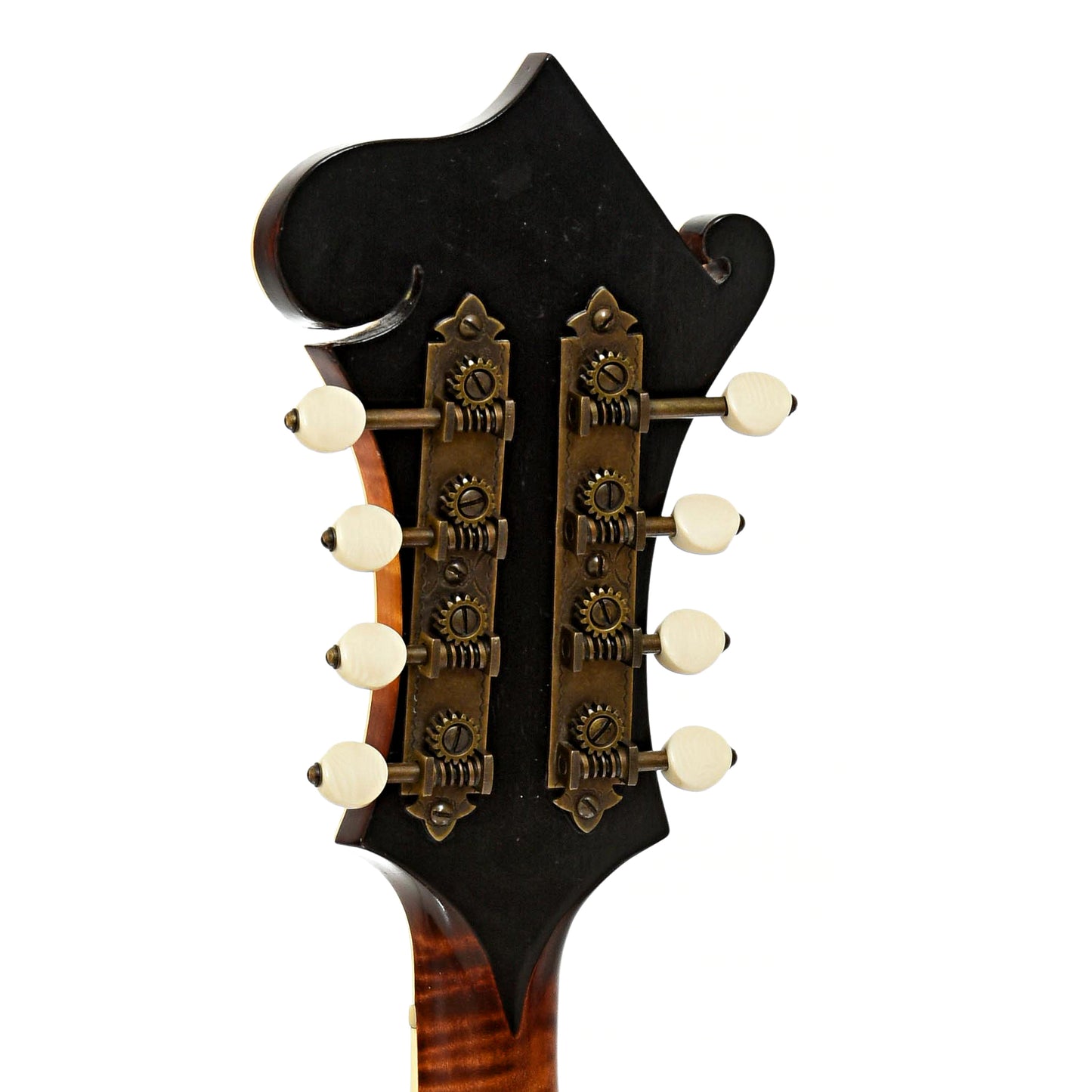 Tuners of Apitius F5 Classic Mandolin 