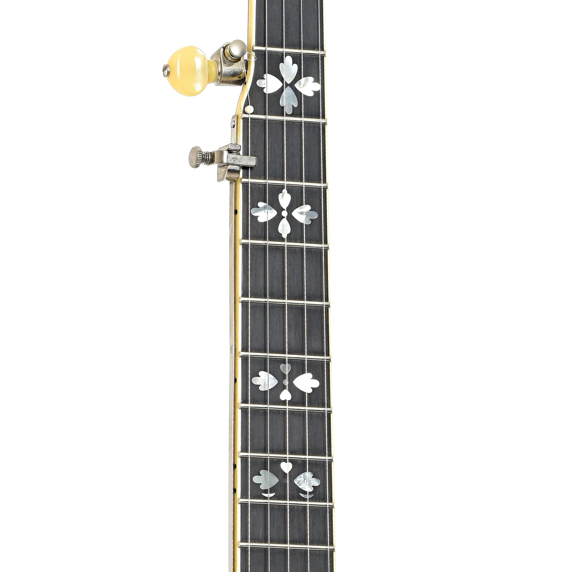 Fretboard of Gold Star GF100HF Banjo