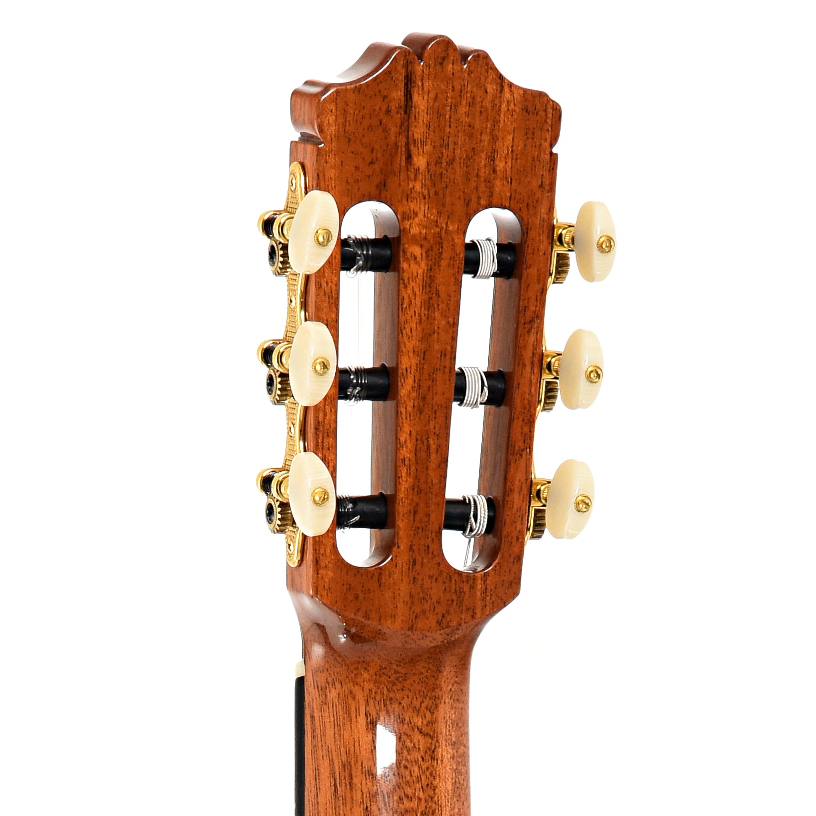 Back headstock of Cordoba C-10 Parlor Nylon String Guitar