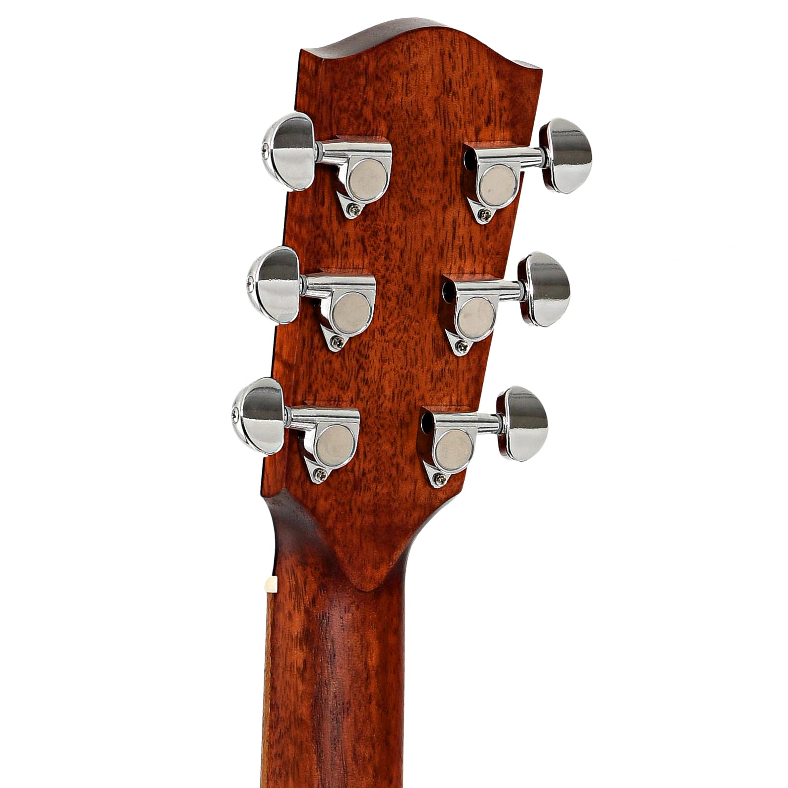 Back headstock of Eastman PCH1-GACE "Pacific Coast Highway", Natural Finish