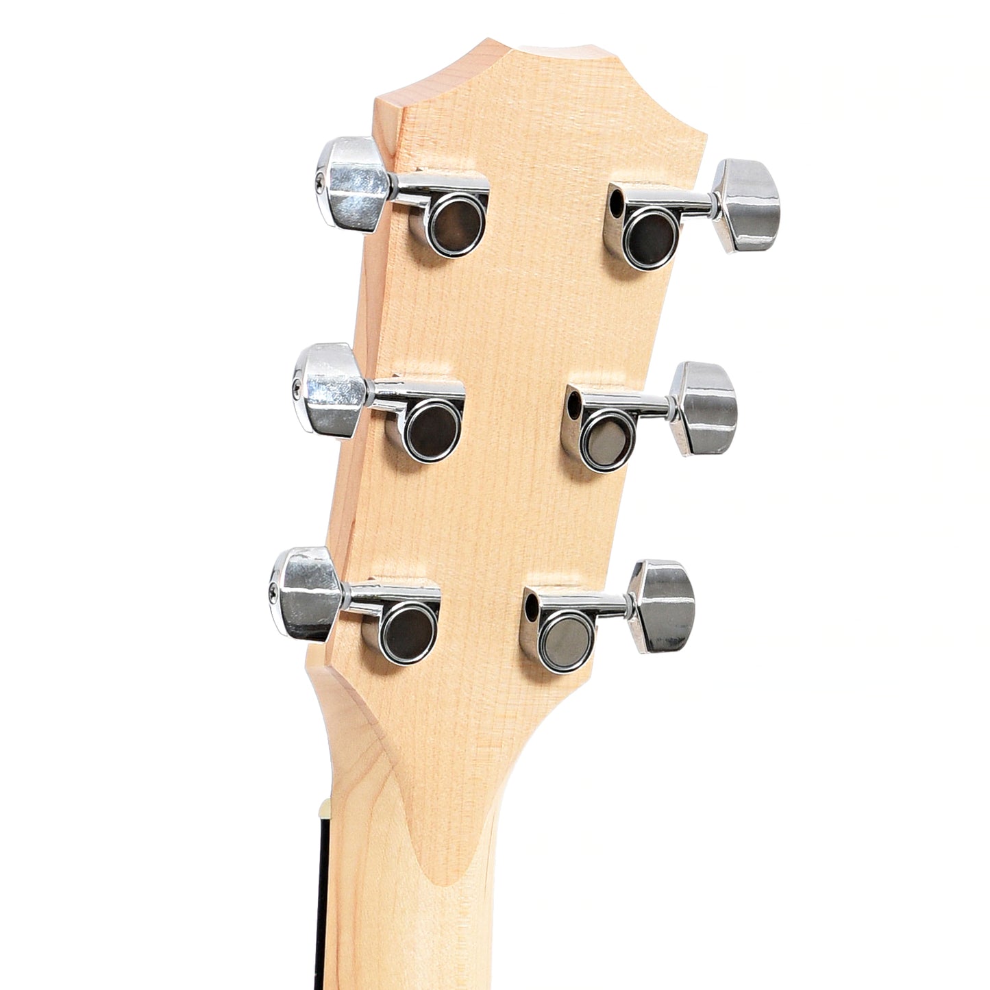 Back headstock of Taylor Academy 10 Acoustic Guitar (2021)