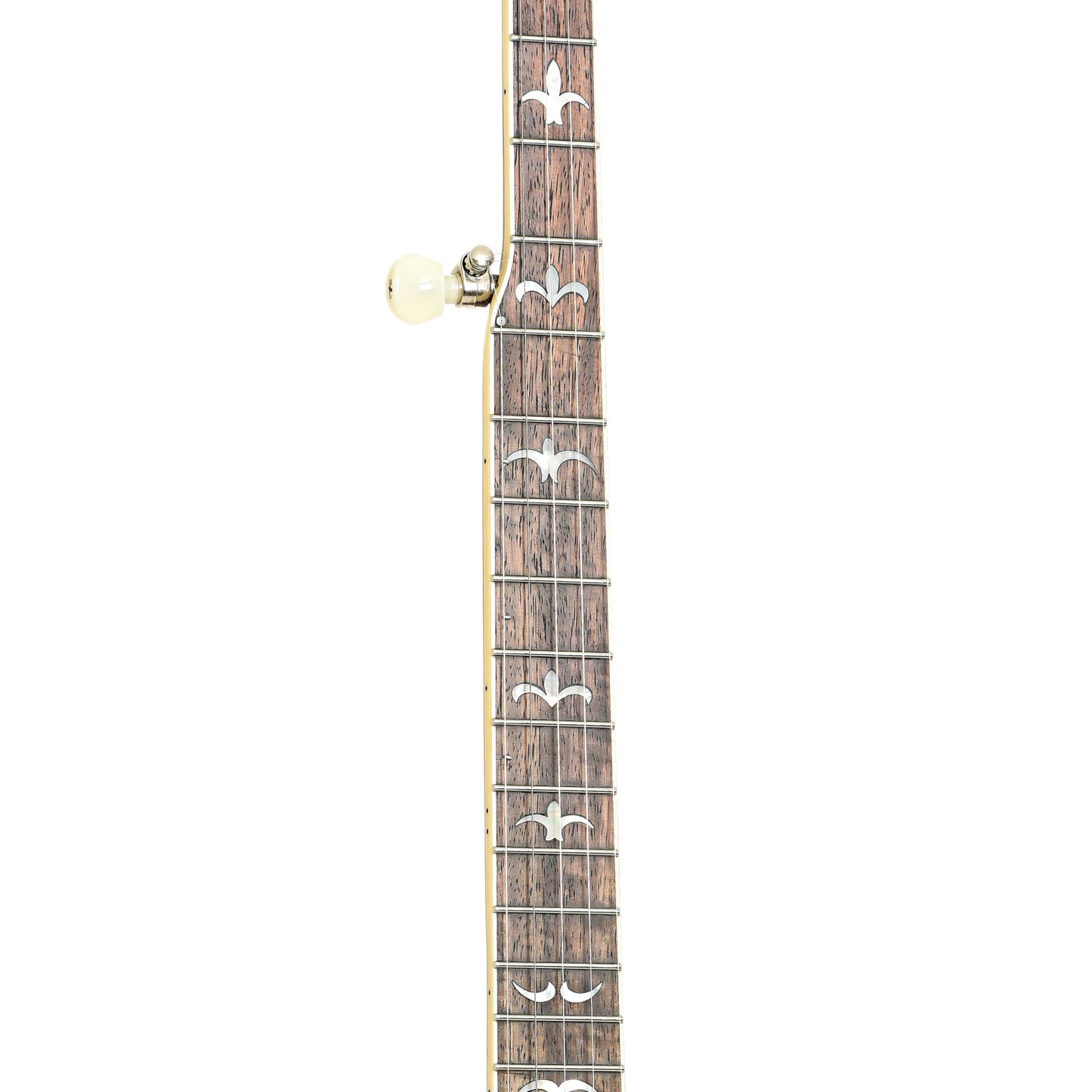 Fretboard of Recording King Madison Deluxe R36 (2019)