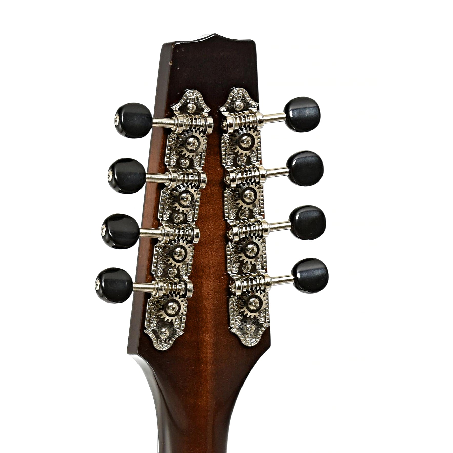 Tuners of Phoenix Europa III Mandolin 