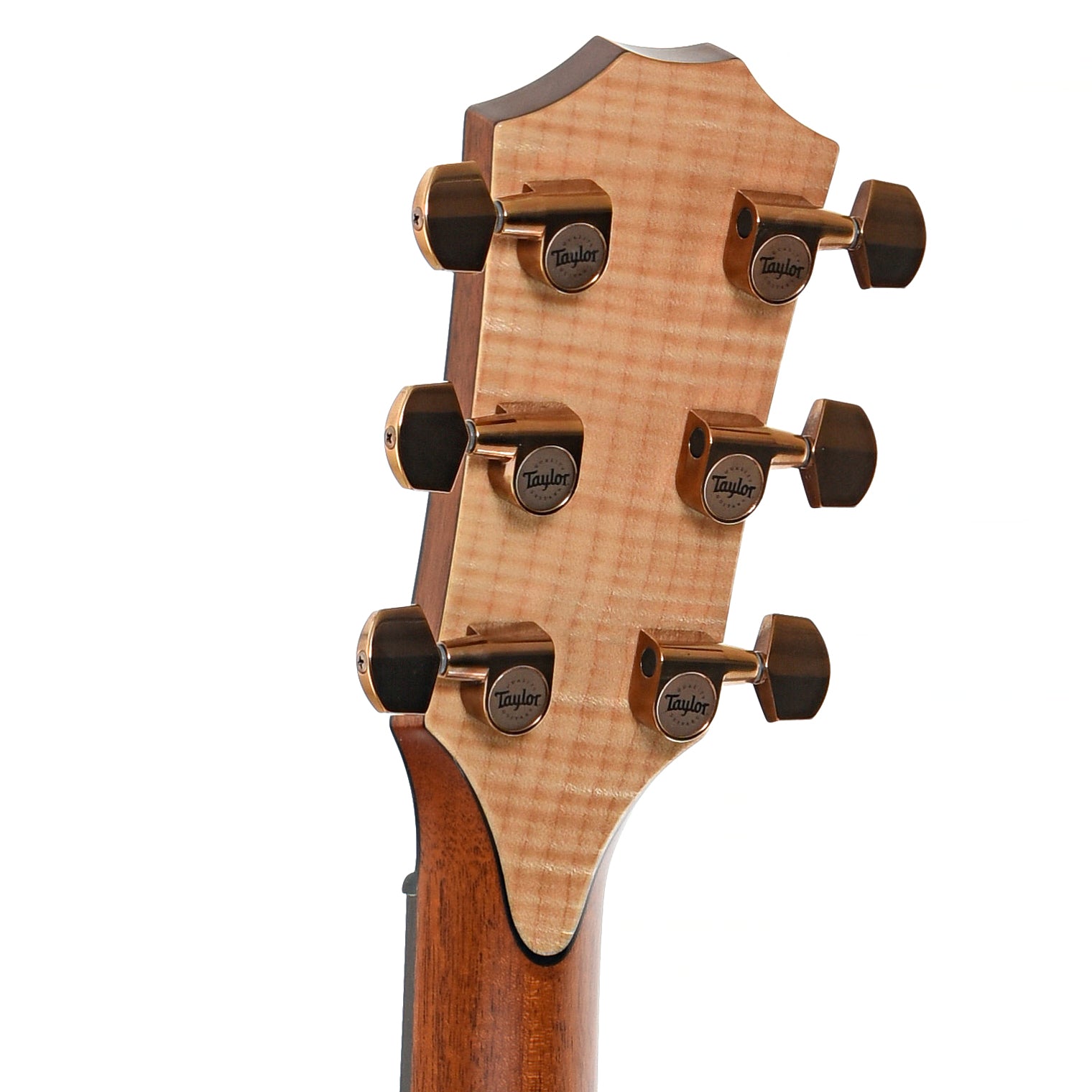 Back headstock of Taylor Custom GA Koa Acoustic-Electric Guitar (2023)