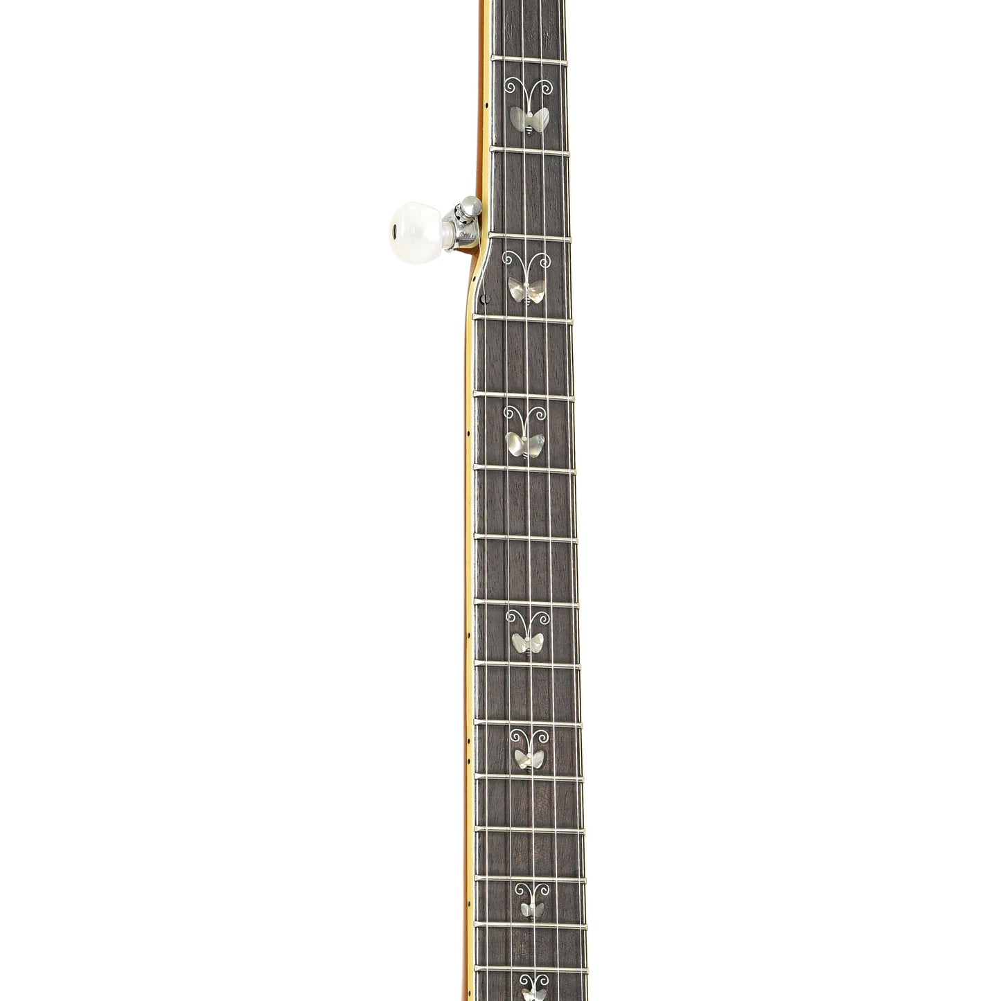 Fretboard of Eastman MD-815 F-Model Mandolin (2020)