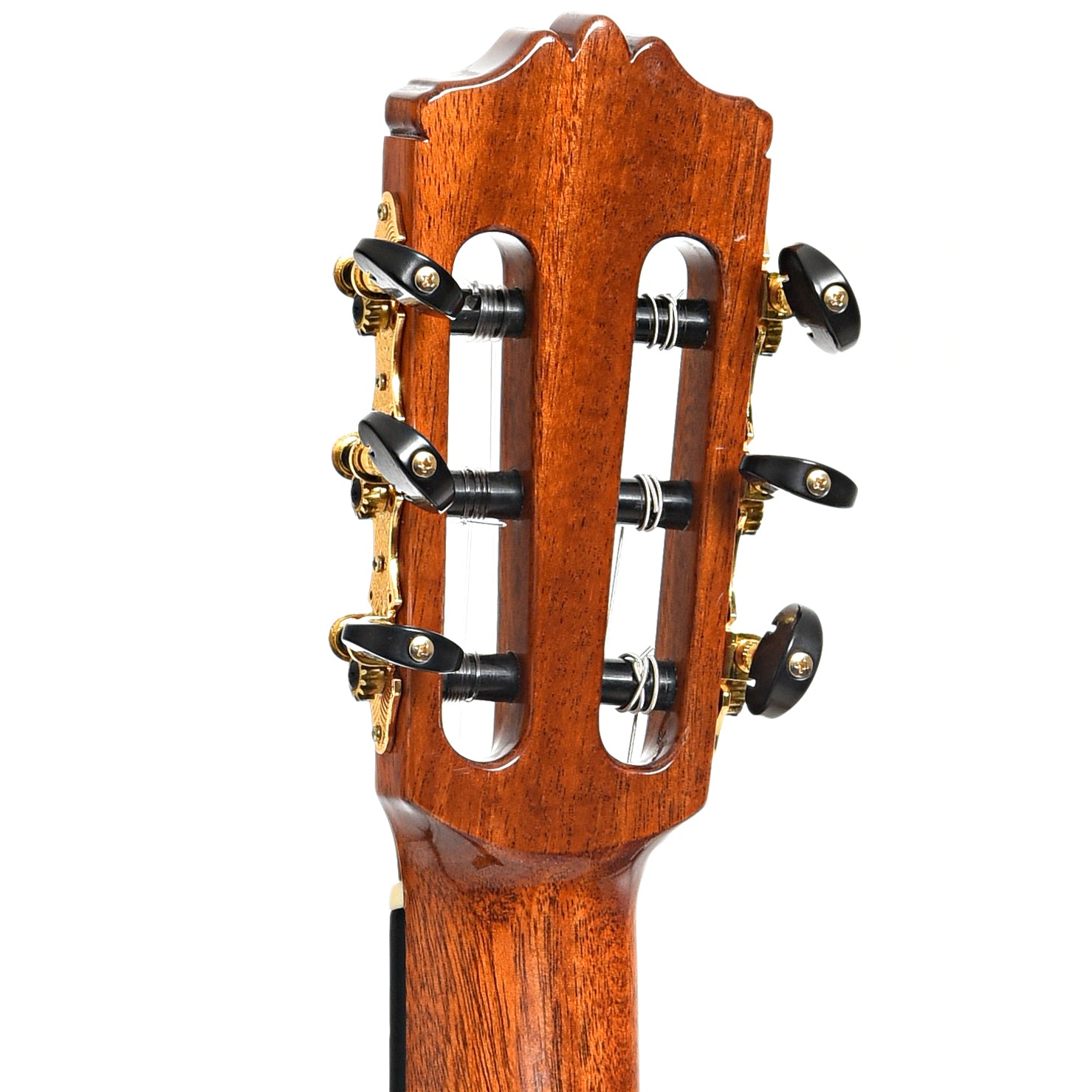 Back headstock of Cordoba GK Studio Pro Flamenco Guitar (2011)