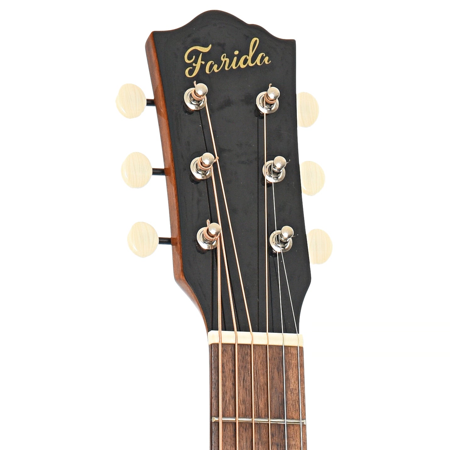 Front headstock of Farida OT-22 WIDE VBS Acoustic Guitar (2020)