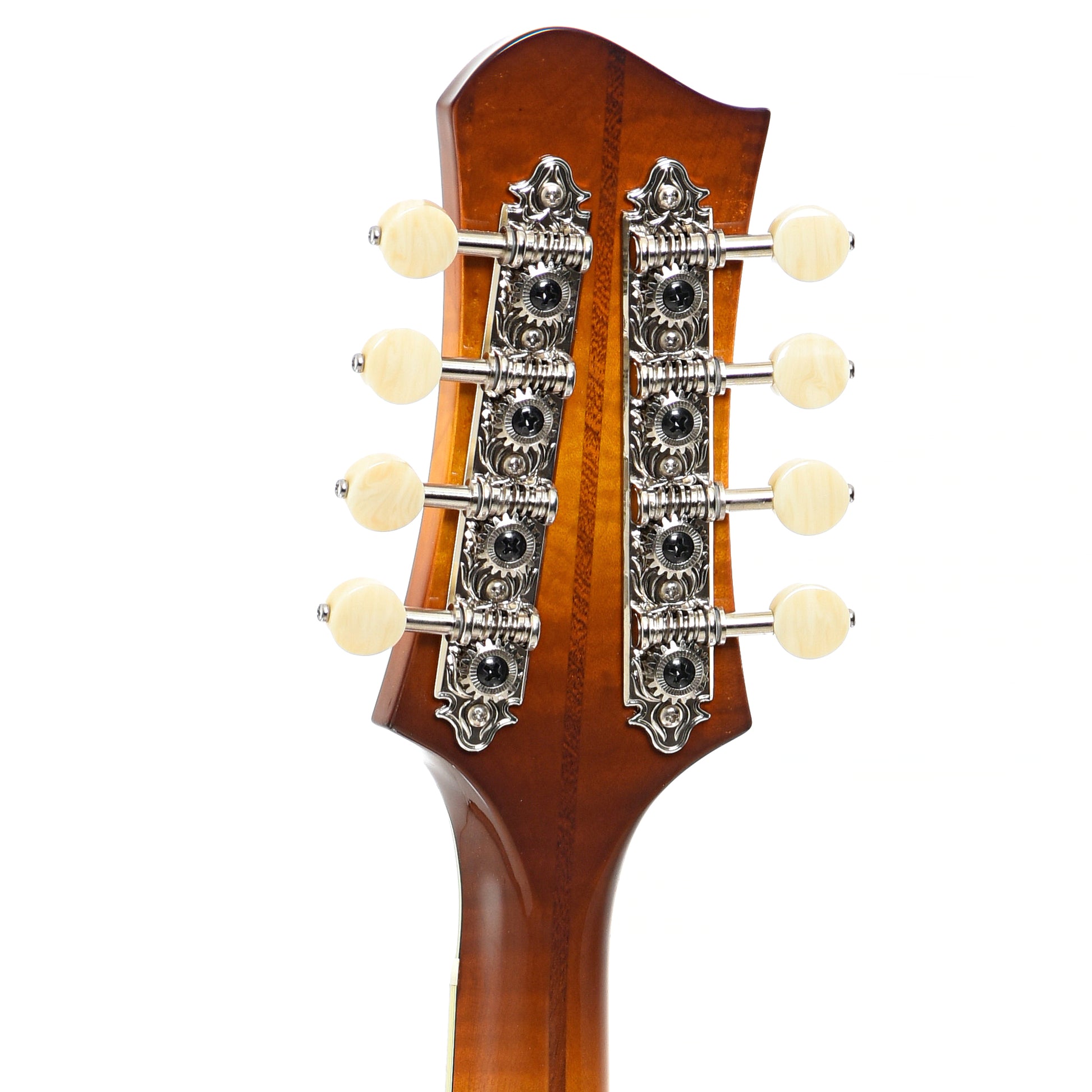 Back headstock of Eastman MD604 Mandolin