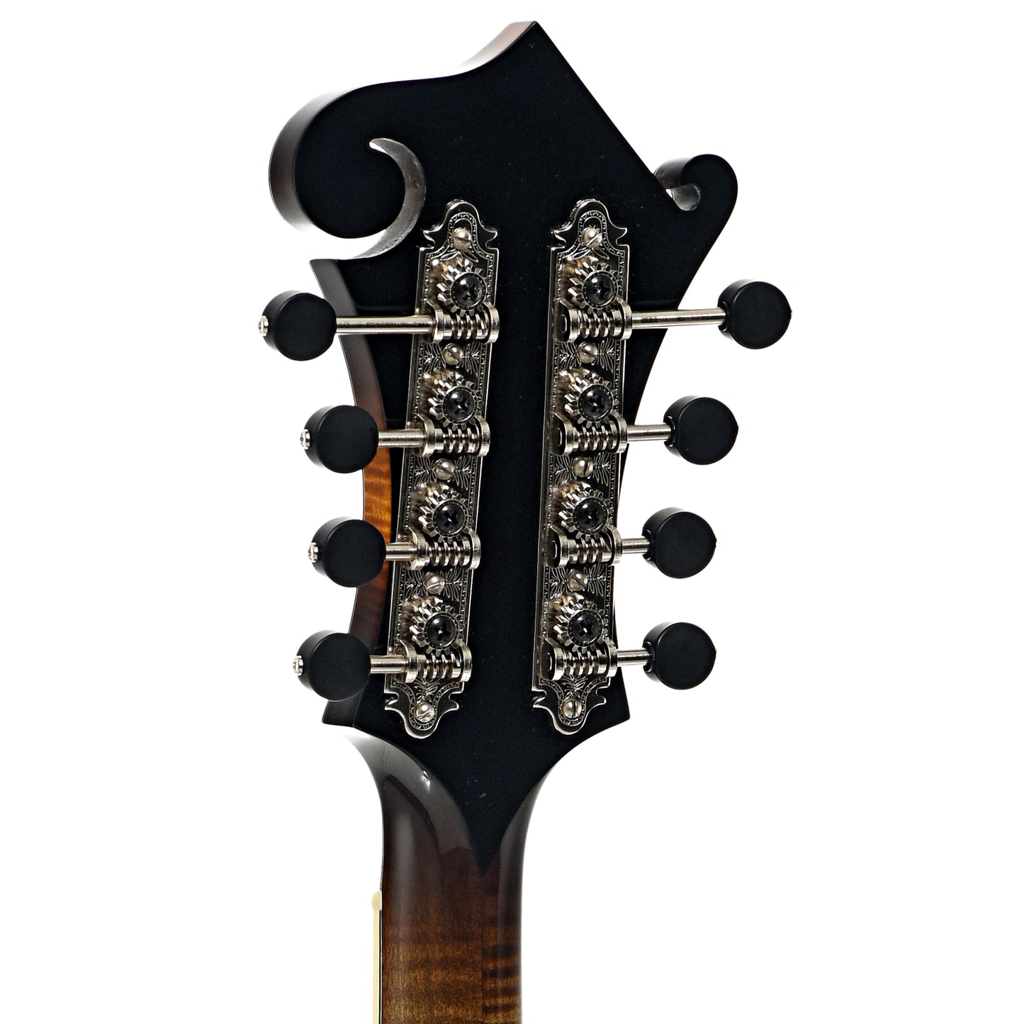 Back headstock of Northfield Workshop NFB-F5AWN Master Model Big Mon Mandolin, Wide Nut