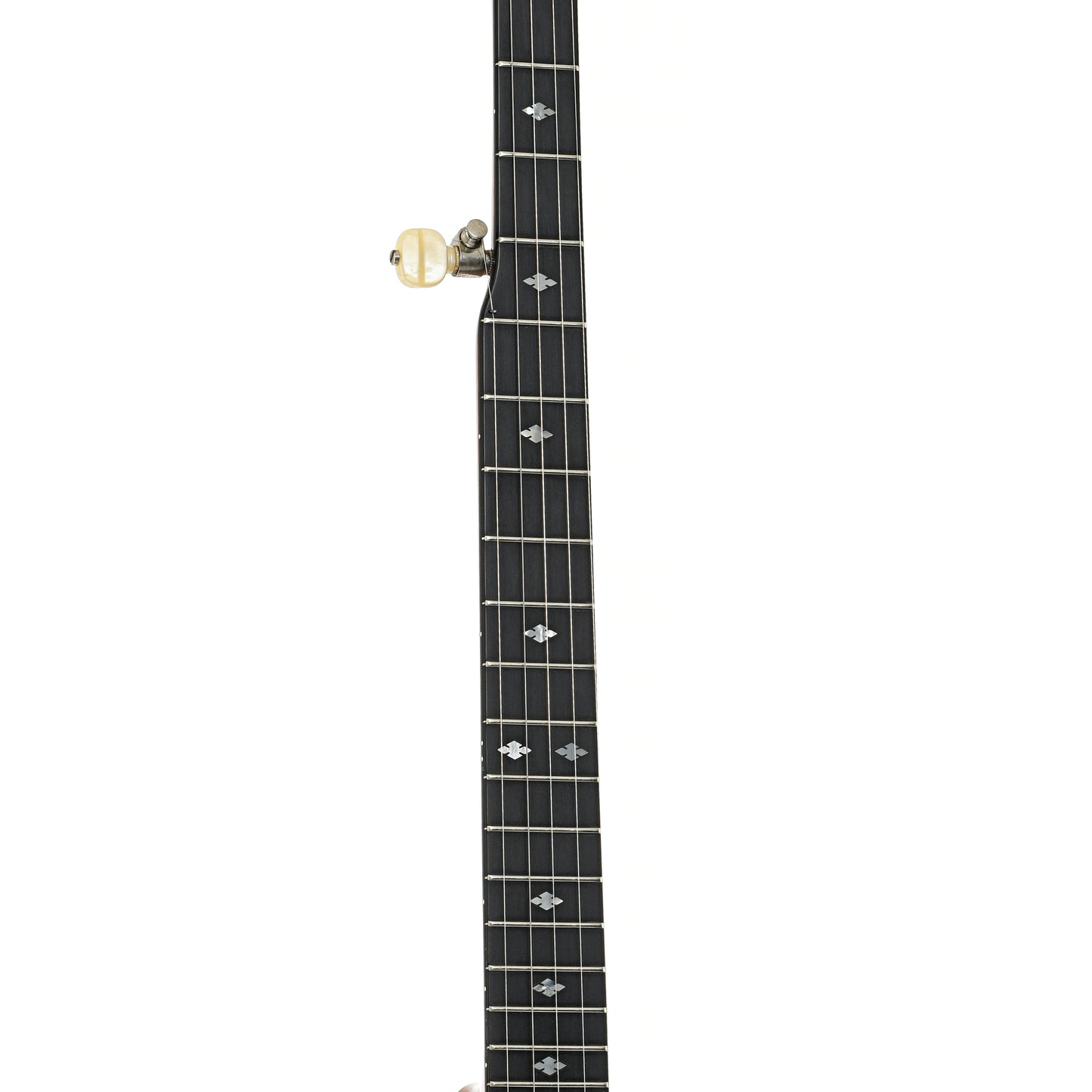 Fretboard  of Deering Deluxe Resonator Banjo (1982)