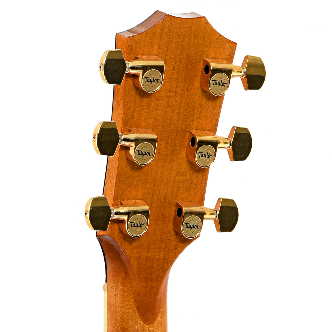 Tuners of Taylor GA-6 Acoustic Guitar