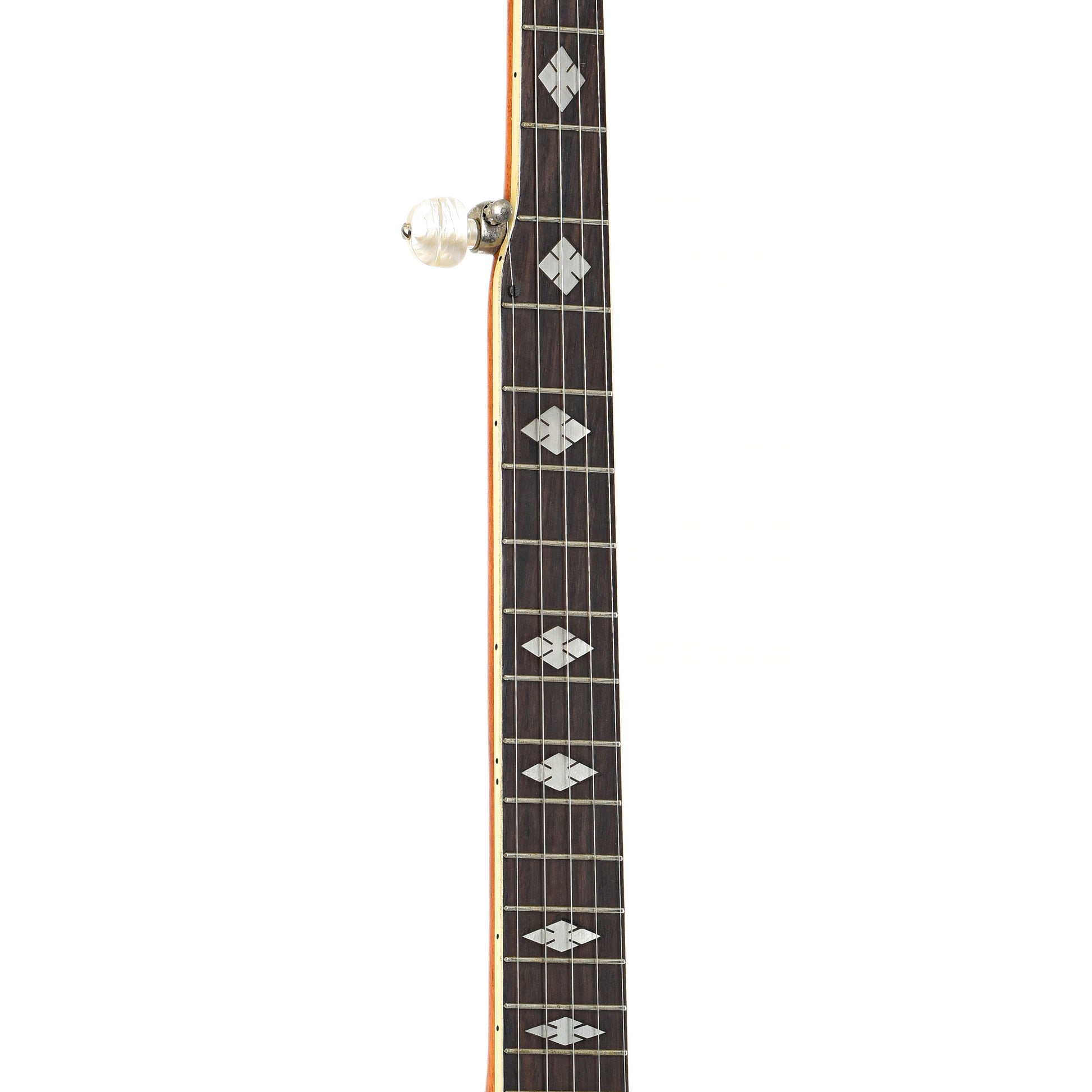 Fretboard of Epiphone EB-99 Resonator Banjo (c.1975)