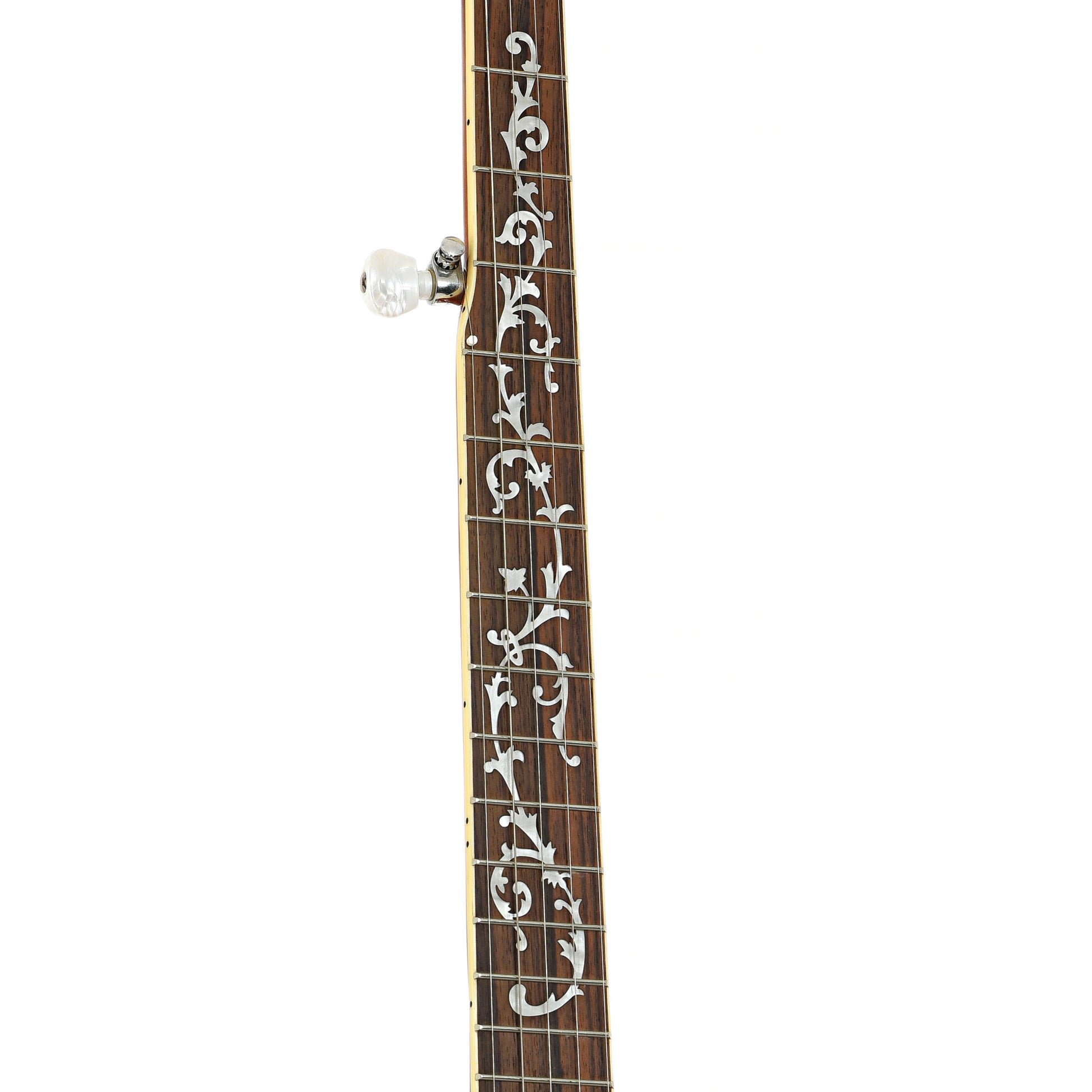 Fretboard of Ibanez B200 Resonator Banjo (2014)