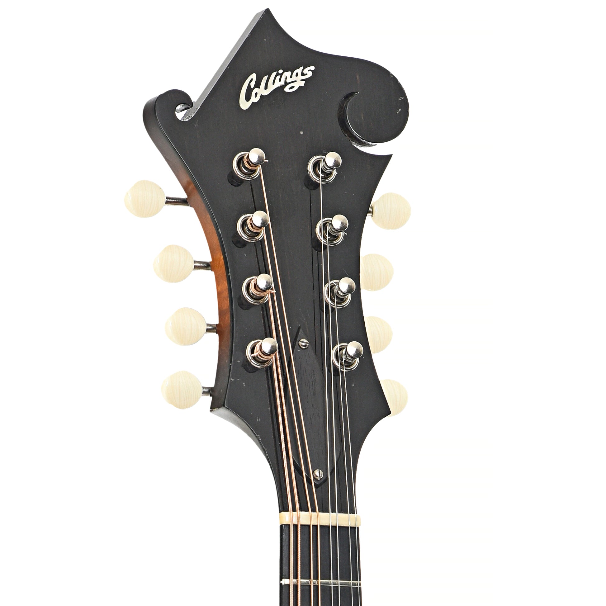 Front headstock of Collings MF F-Style Mandolin (2010)